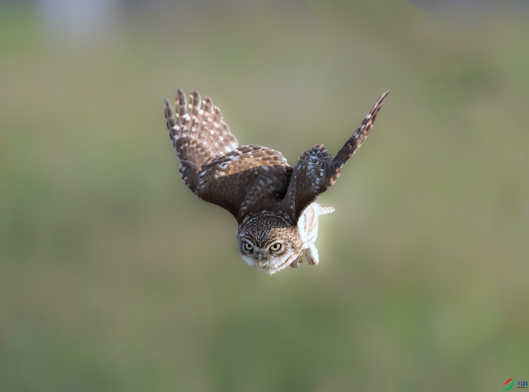 DSC03629 ����_����.jpg