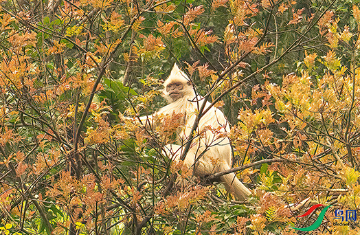 DSC00871.png   0001.png