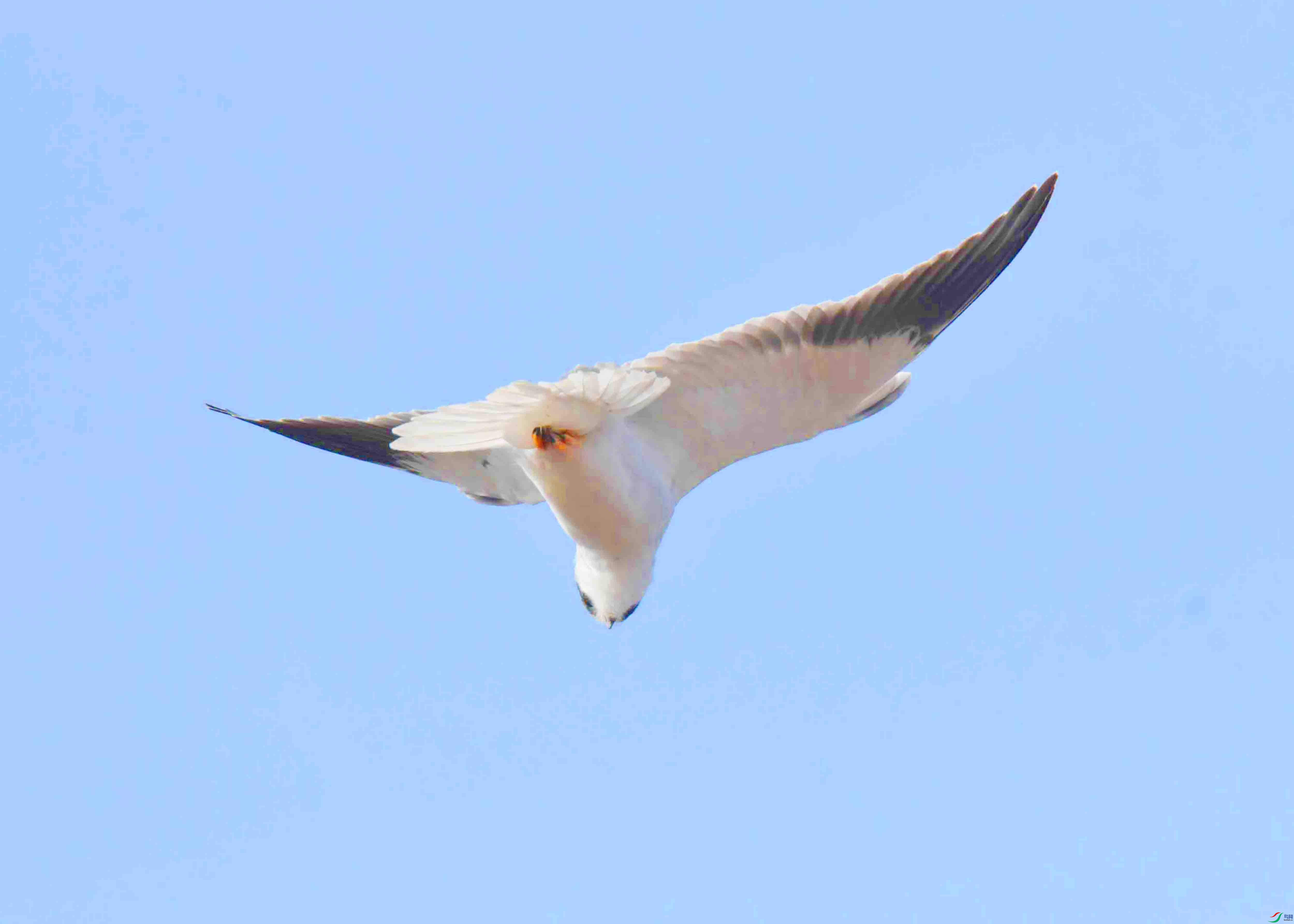 DSC_3786.JPG