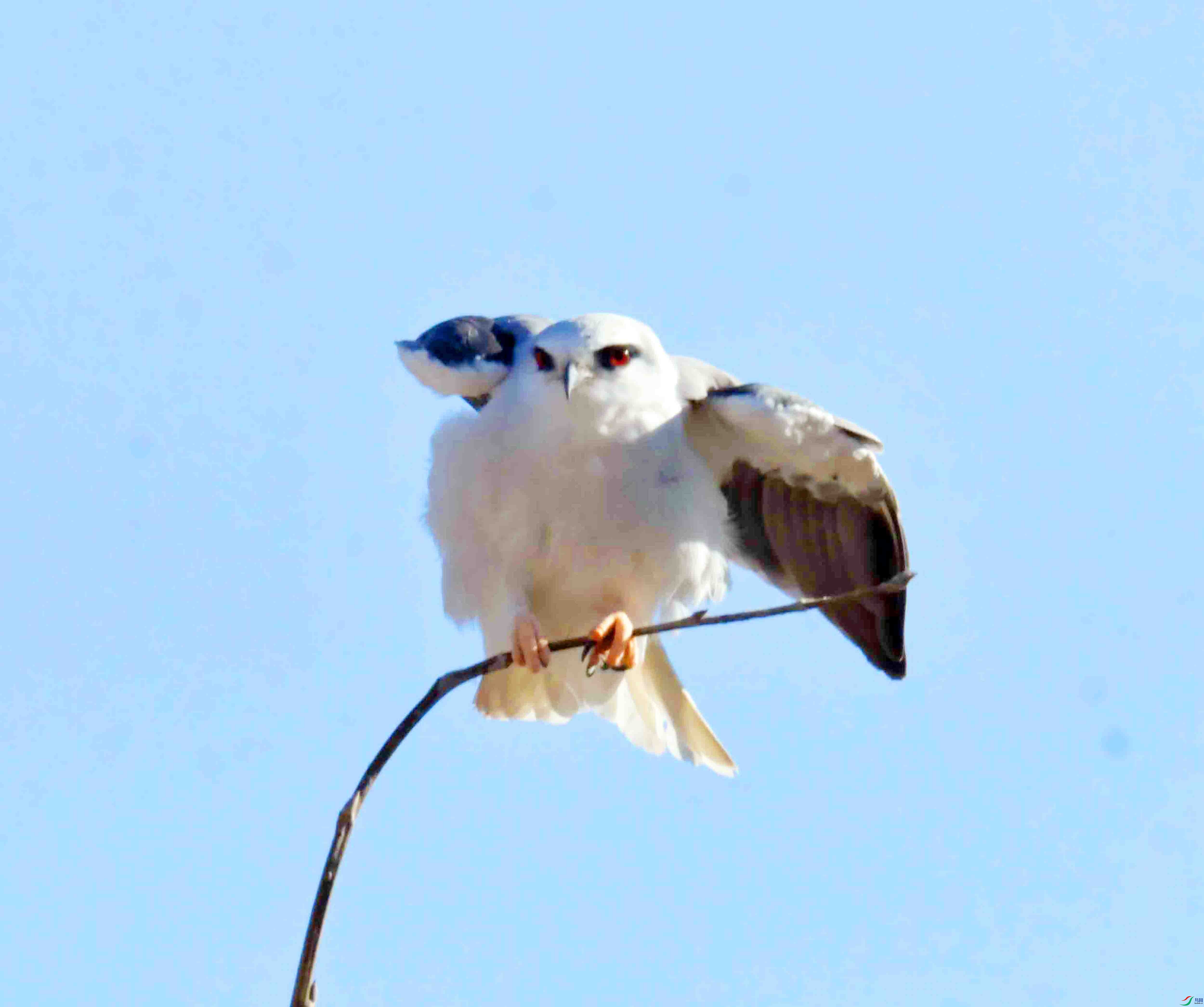 DSC_7585.JPG