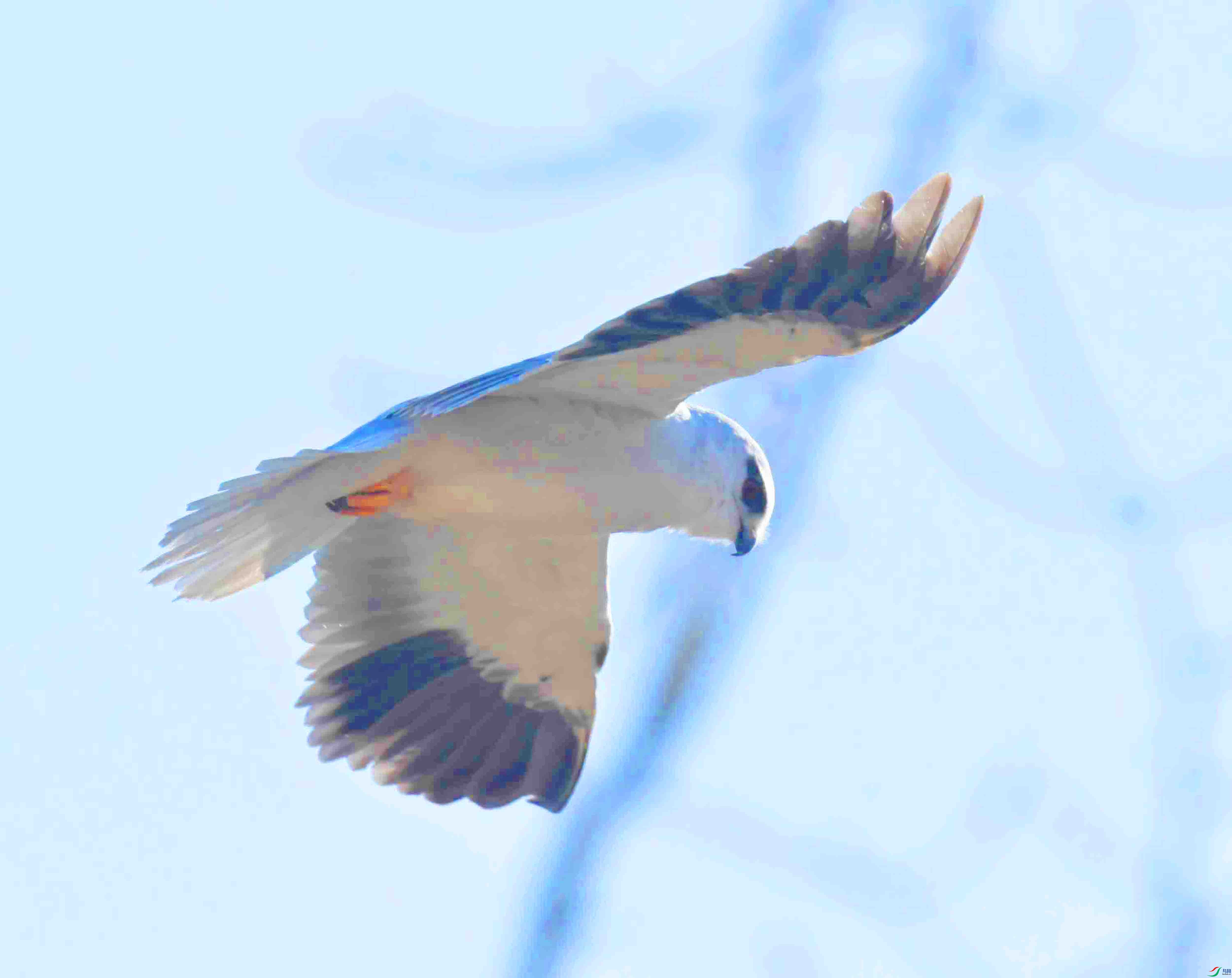 DSC_7637.JPG