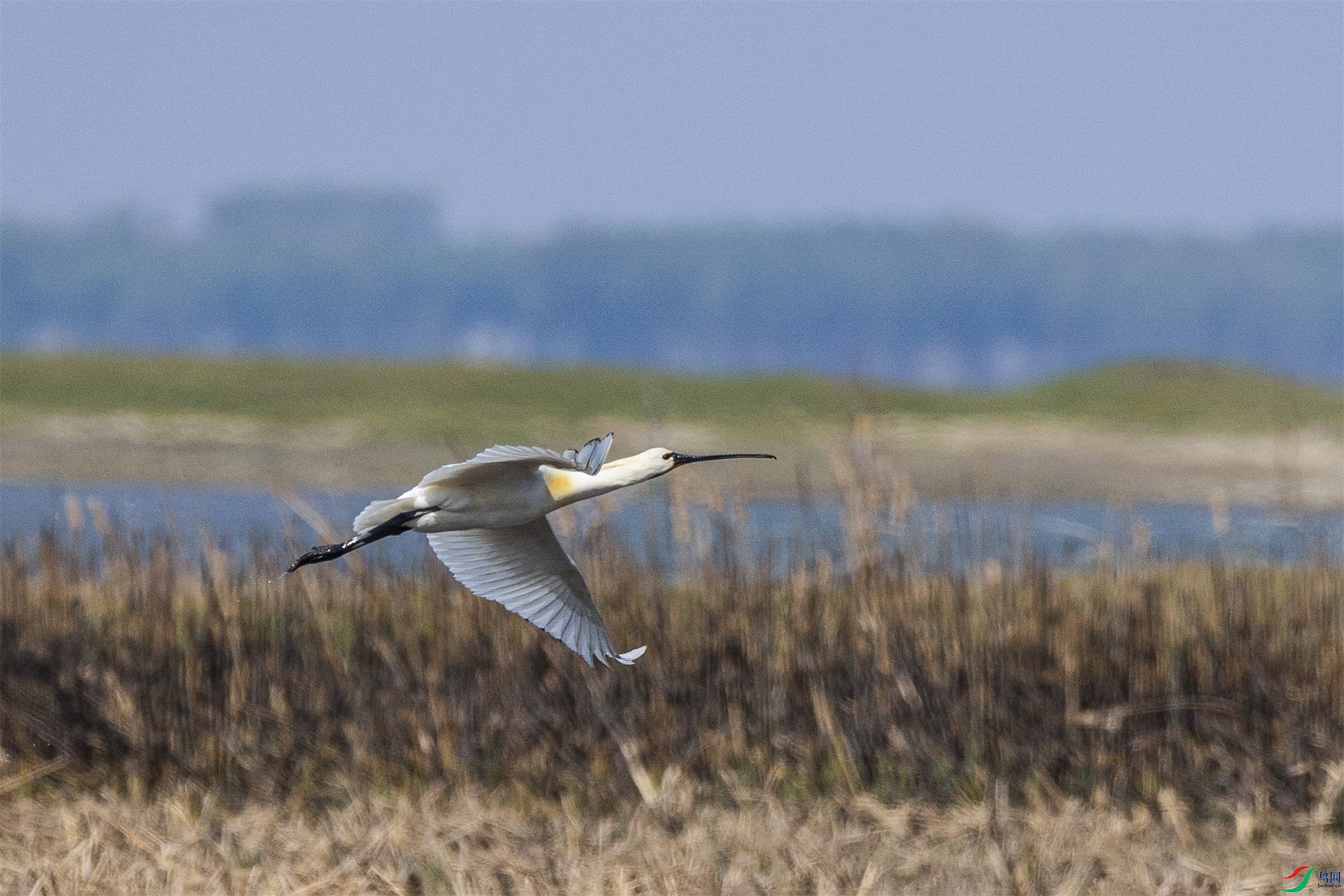 1K3A1091 ����1.jpg