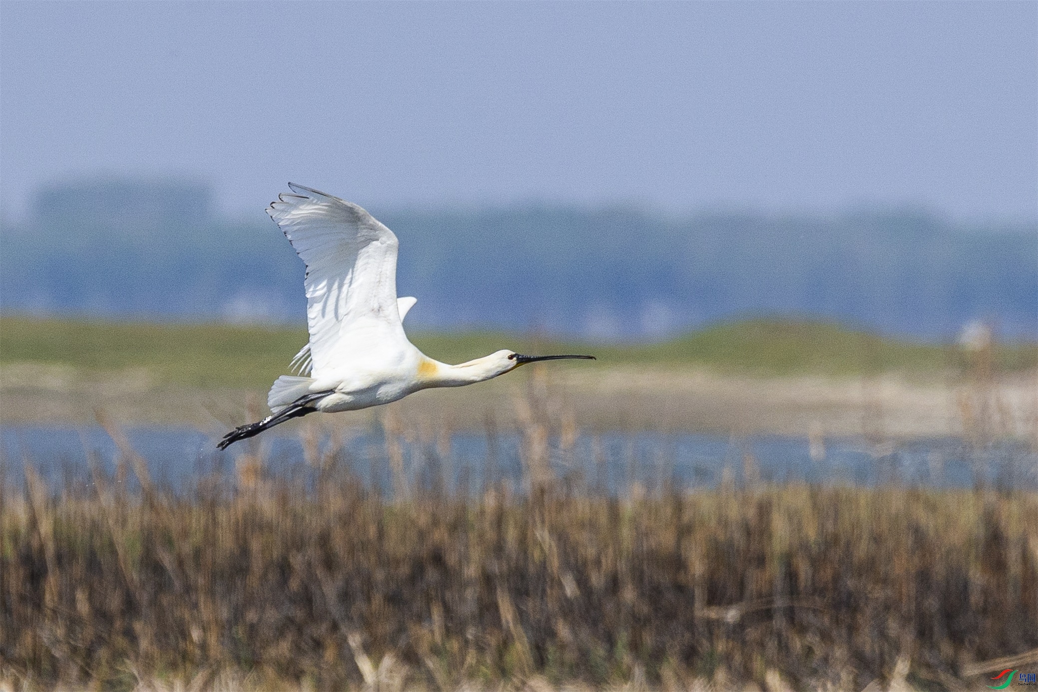 1K3A1093 ����1.jpg