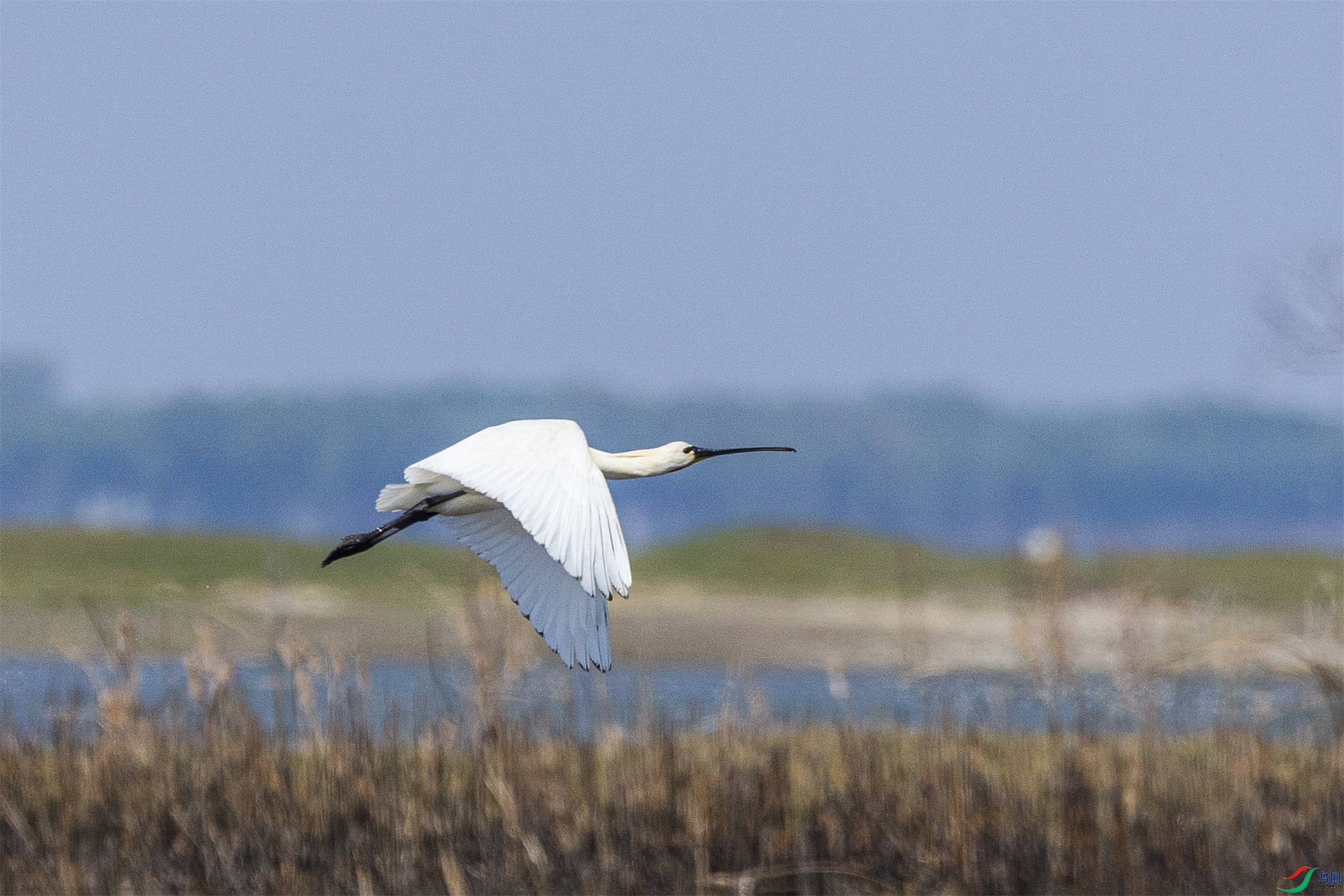 1K3A1096 ����1.jpg