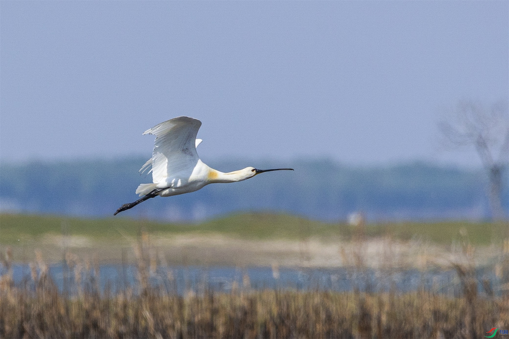 1K3A1097 ����1.jpg