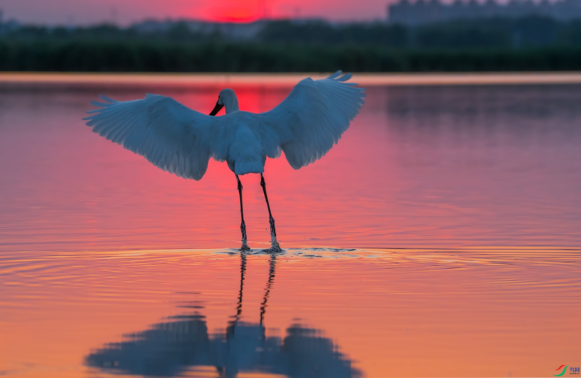 DSC_8706.jpg