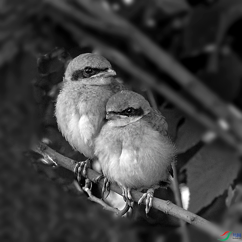 DSC_3874.jpg