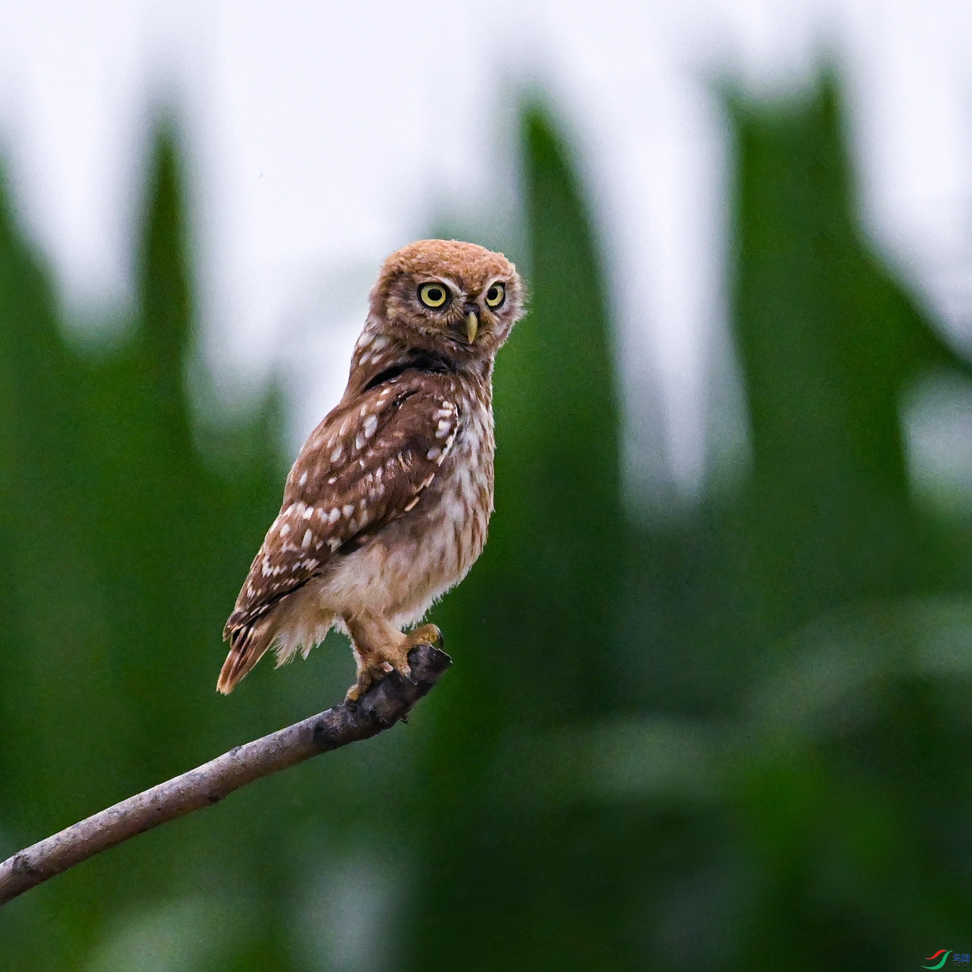 DSC_5192.jpg