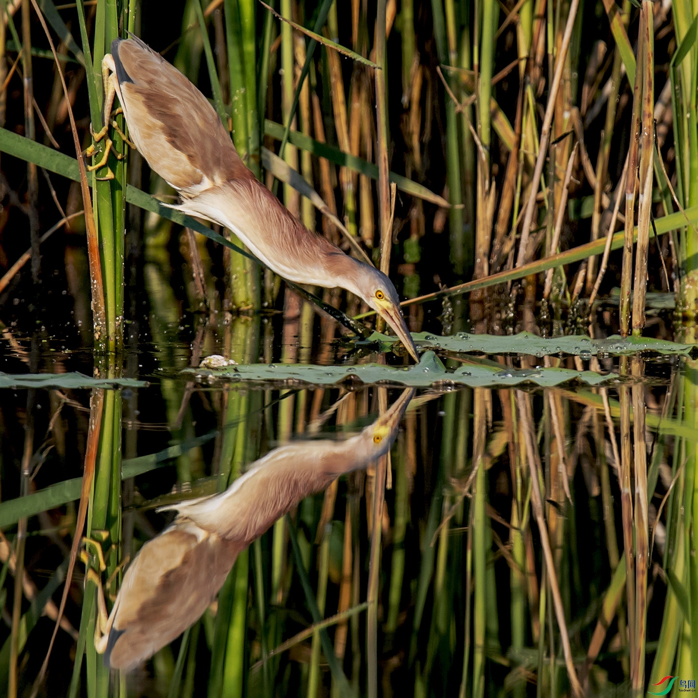 _90I8560 ����.jpg