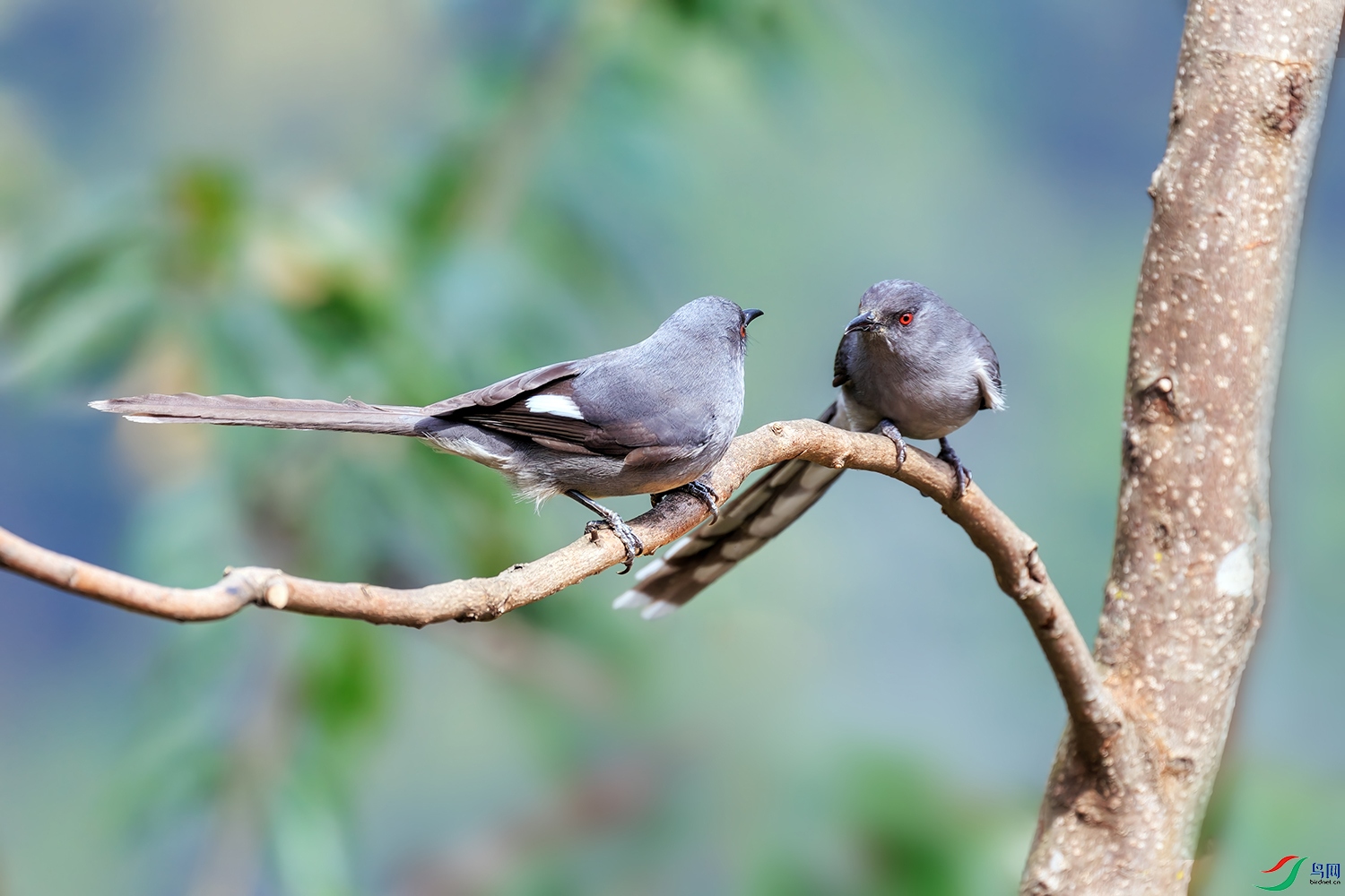 0A3A6186-�༭ ����.jpg