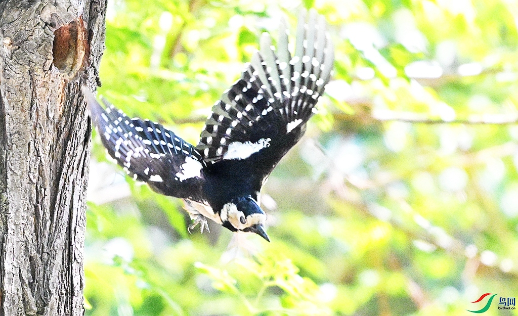 DSC_8882.JPG