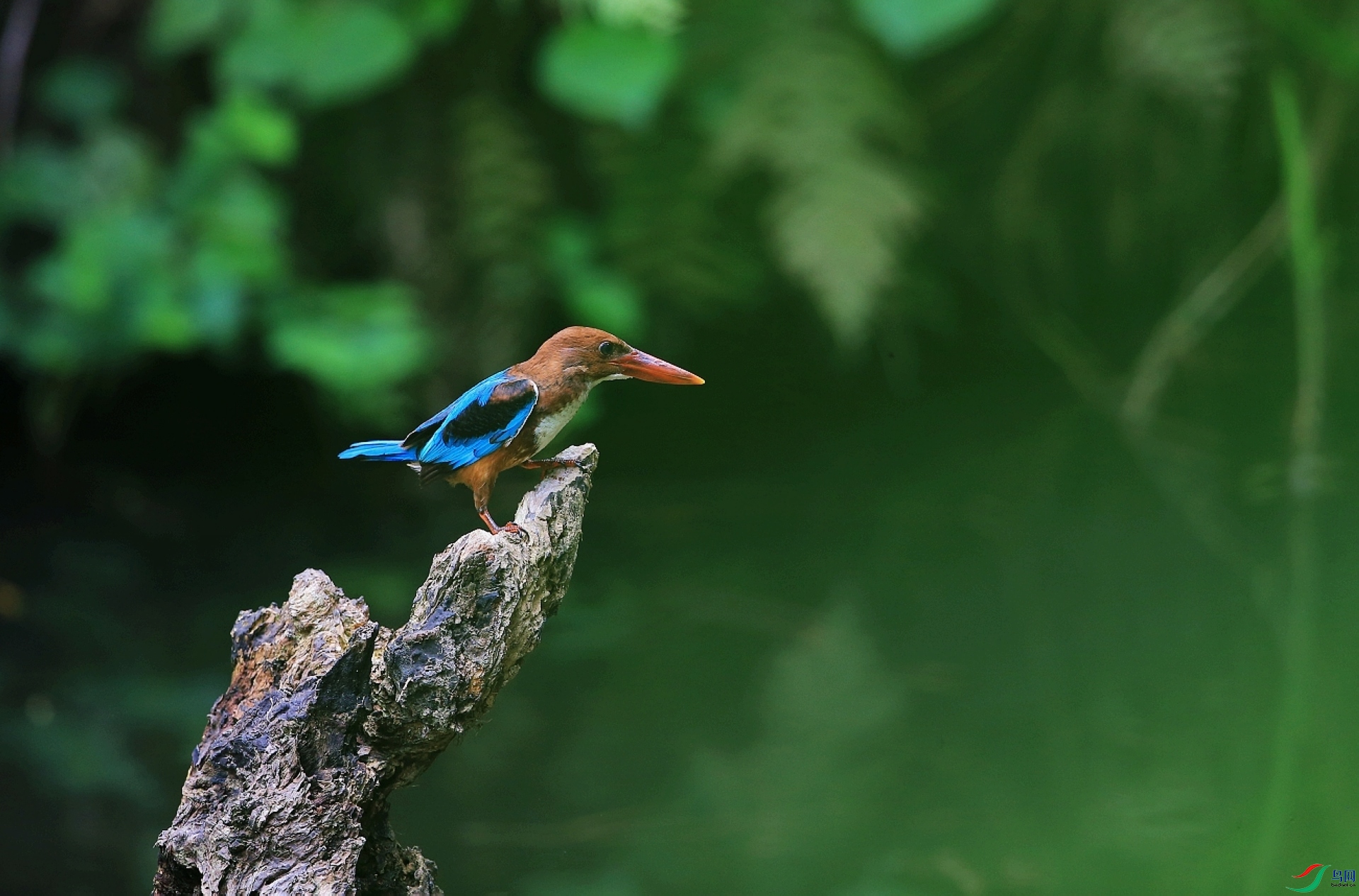 ���� IMGL1292.JPG