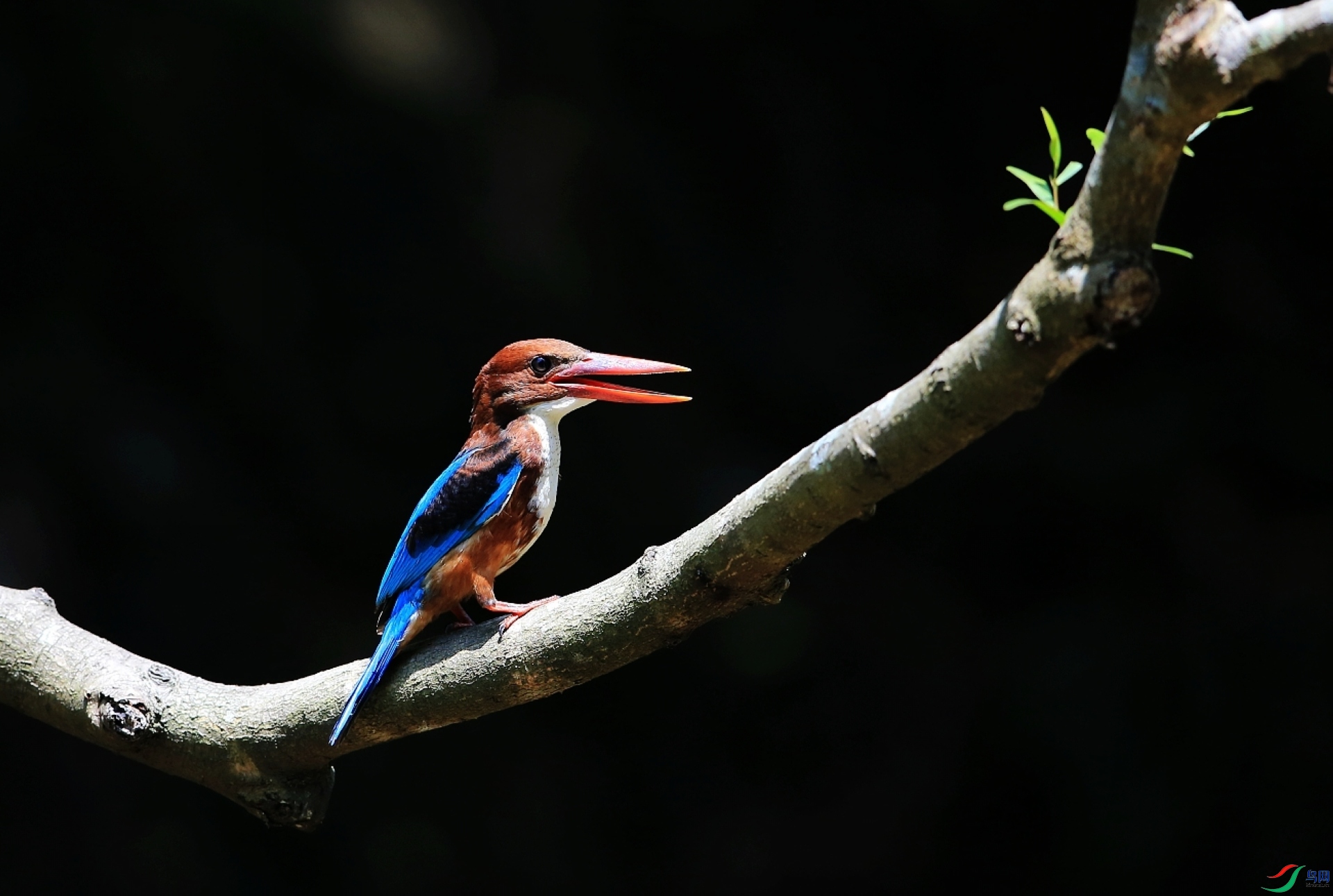 ���� IMGL2201.JPG