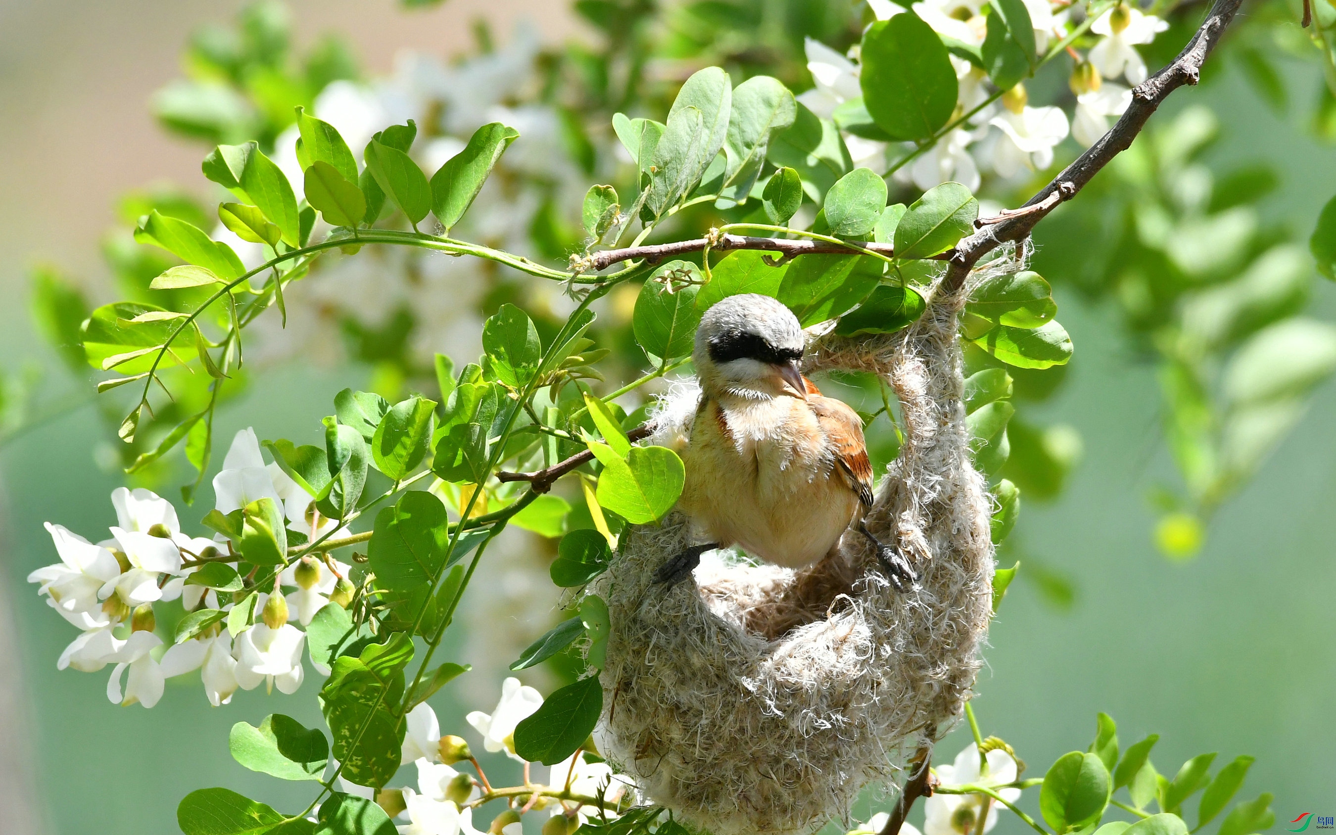DSC_5347.JPG