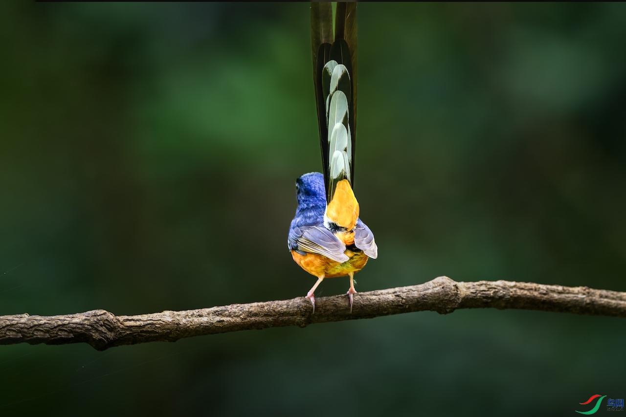 1_XXL7218-����ǿ-NR ����.jpeg