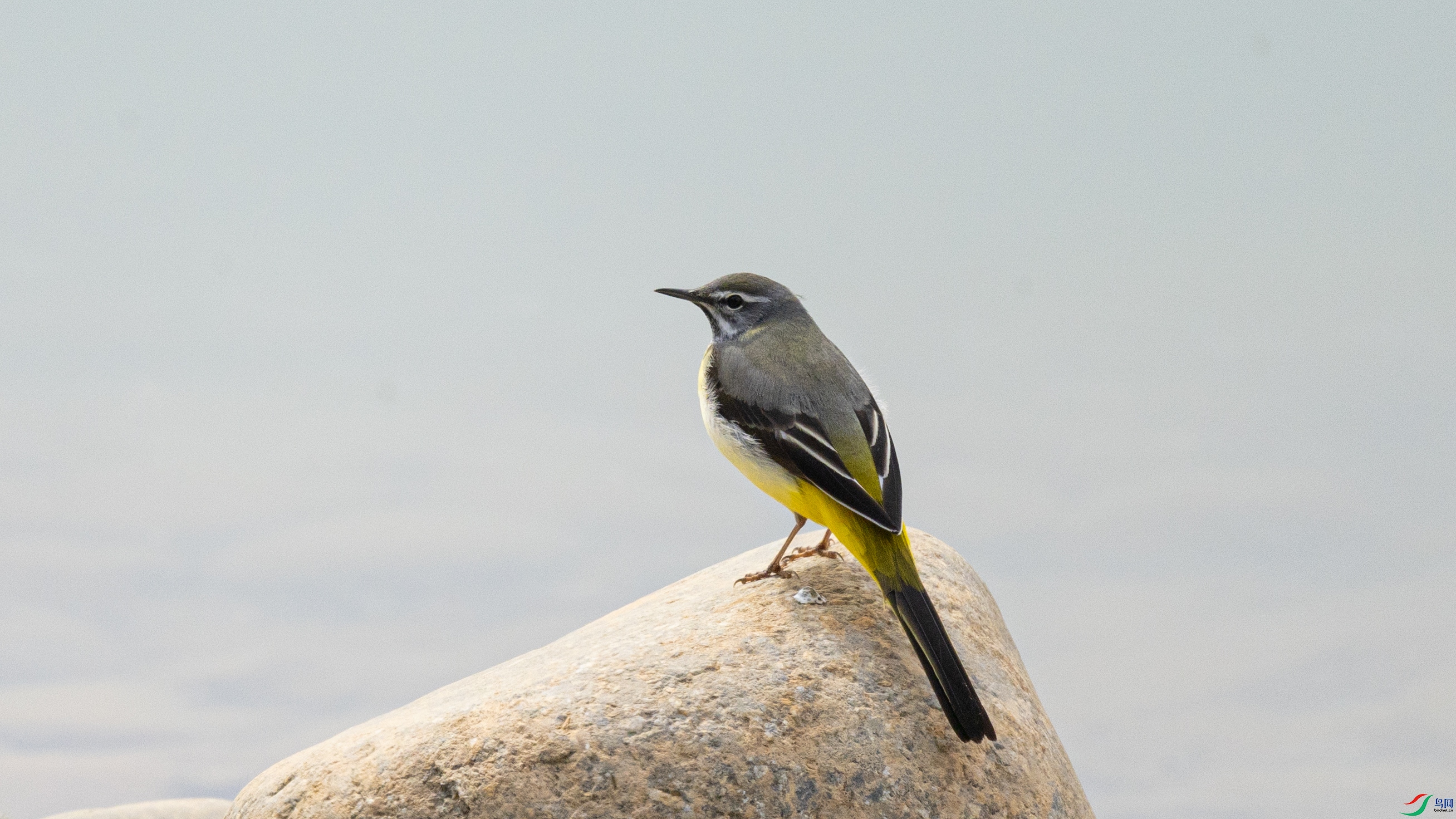 7X5A1190 ����.jpg