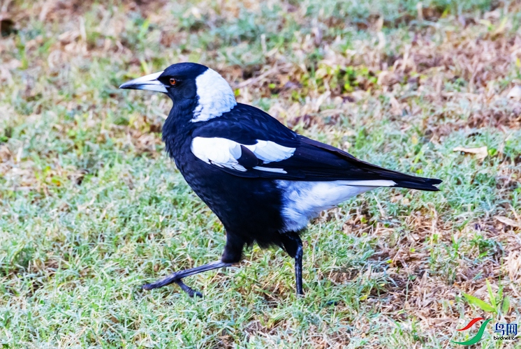 238A3857.jpg