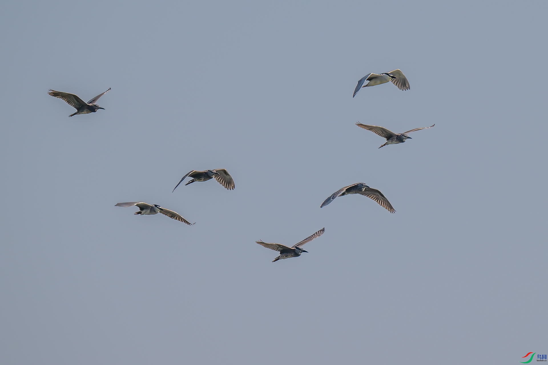 DSC_1541.jpg