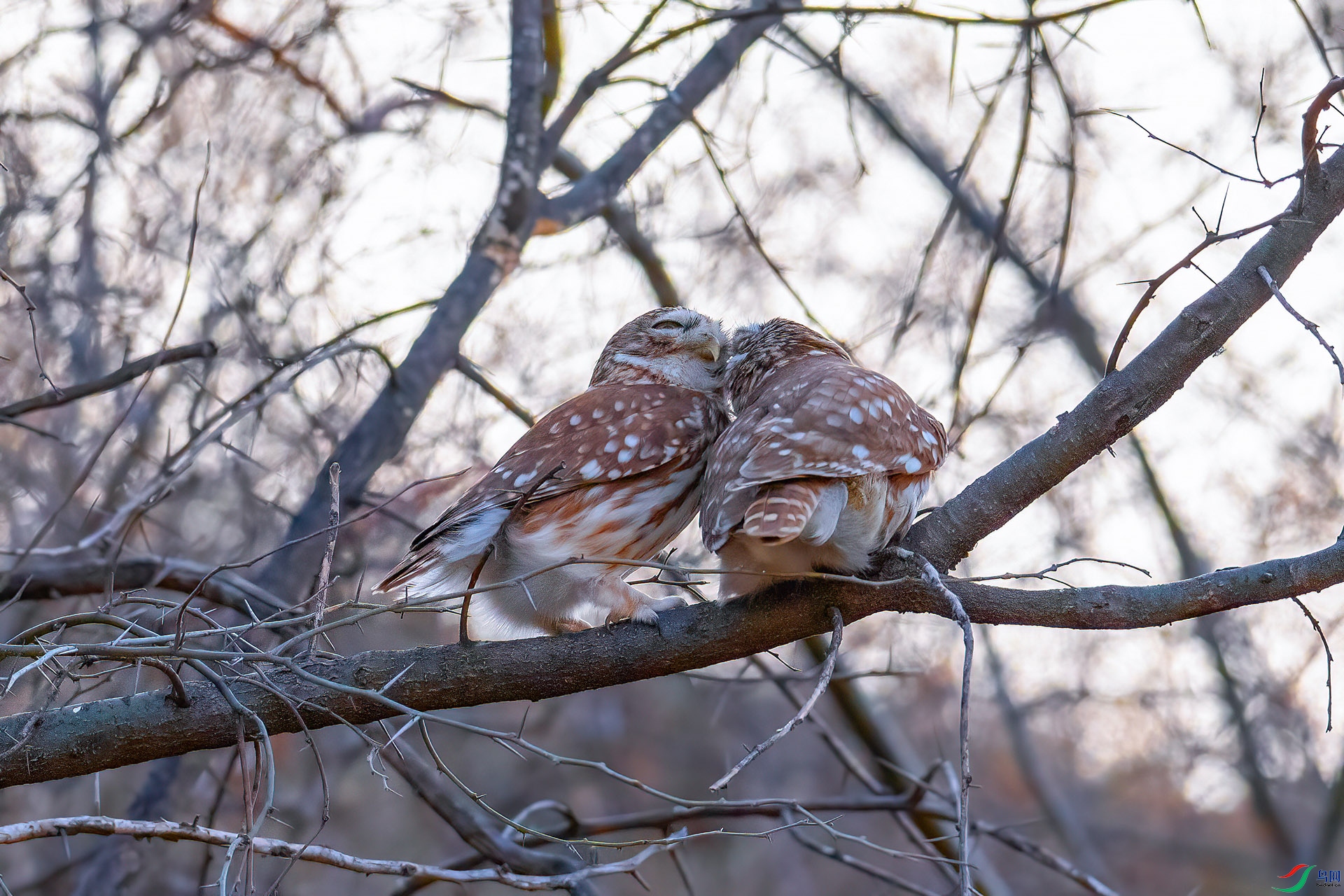 DSC_1720.jpg