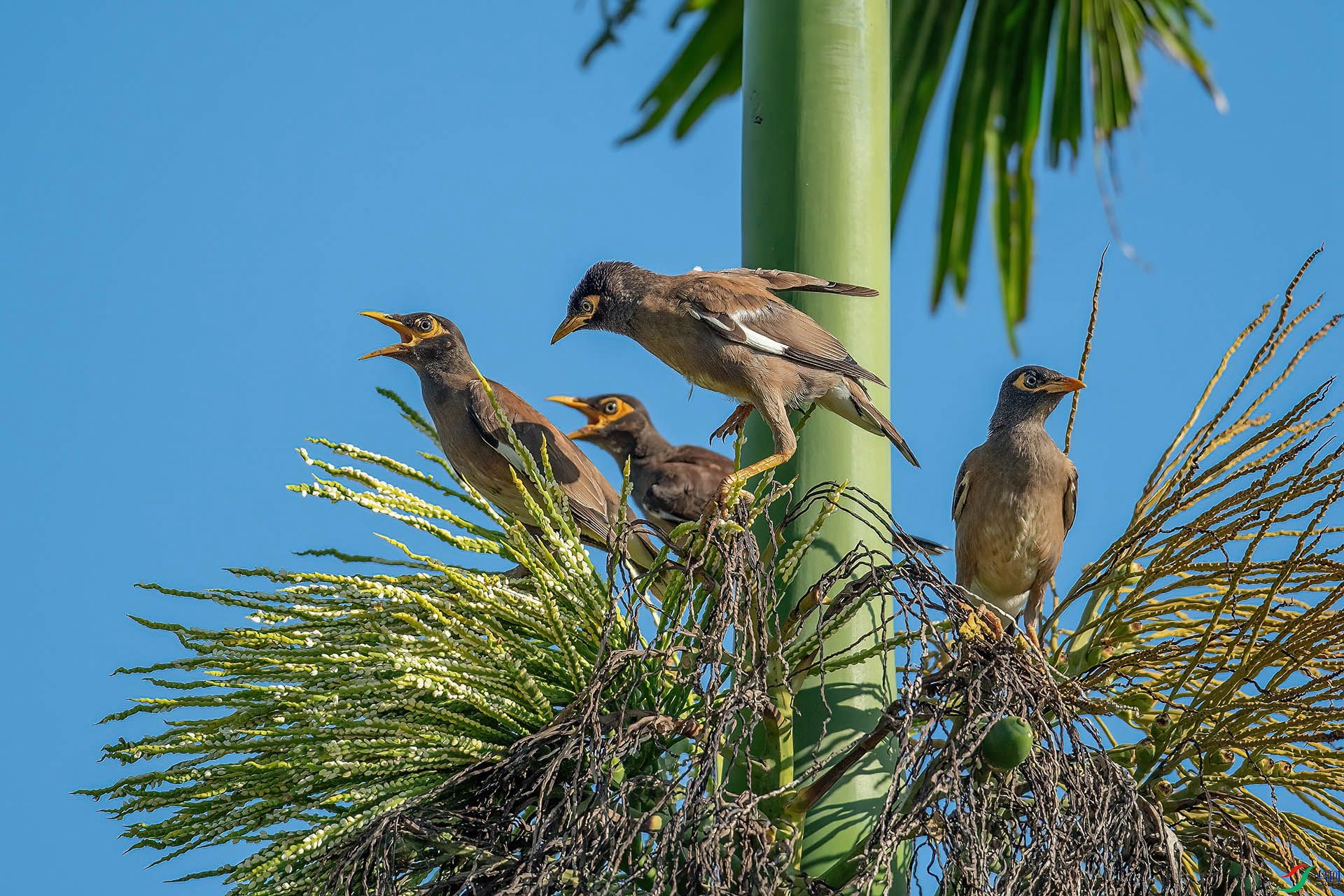 DSC_8443.jpg