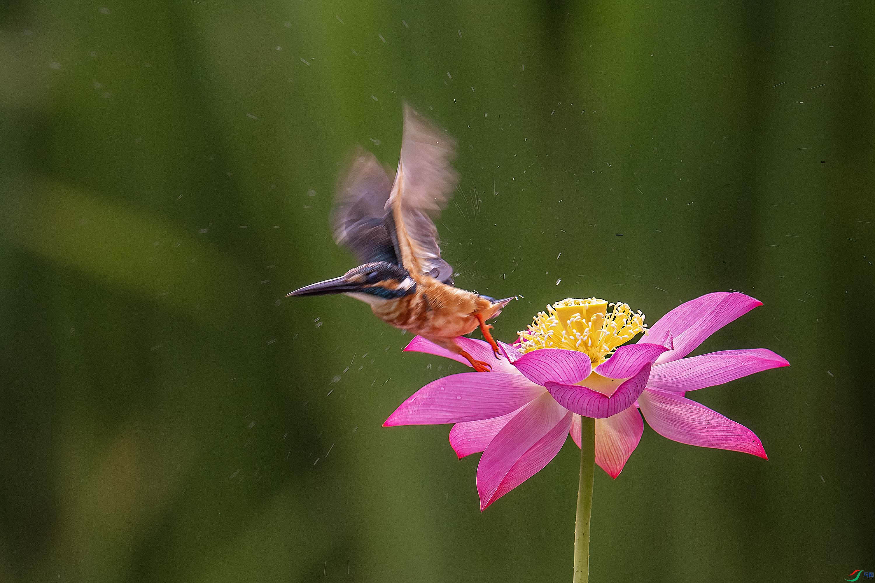 DSD_0628.jpg