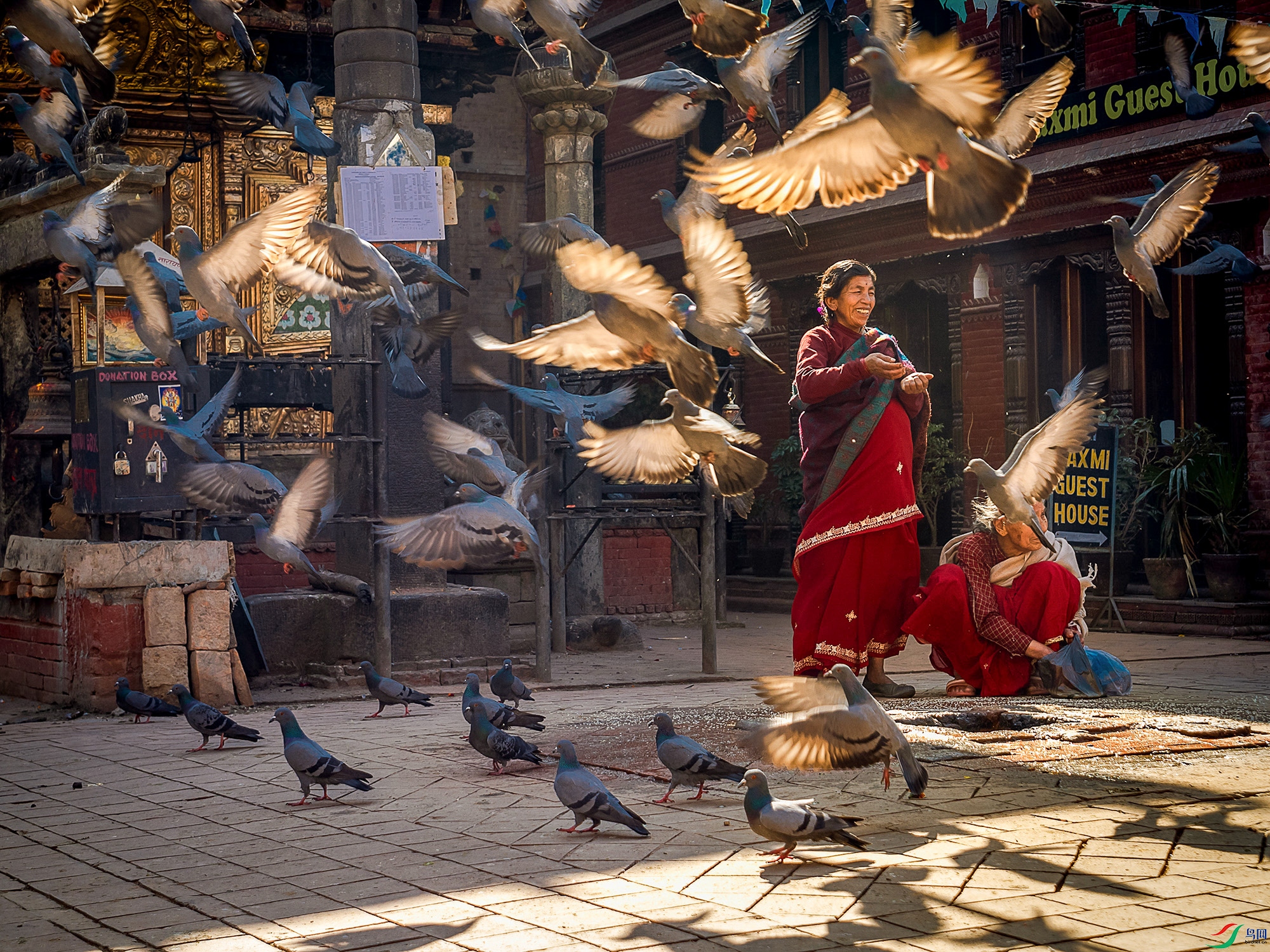 P1087735a ����.jpg