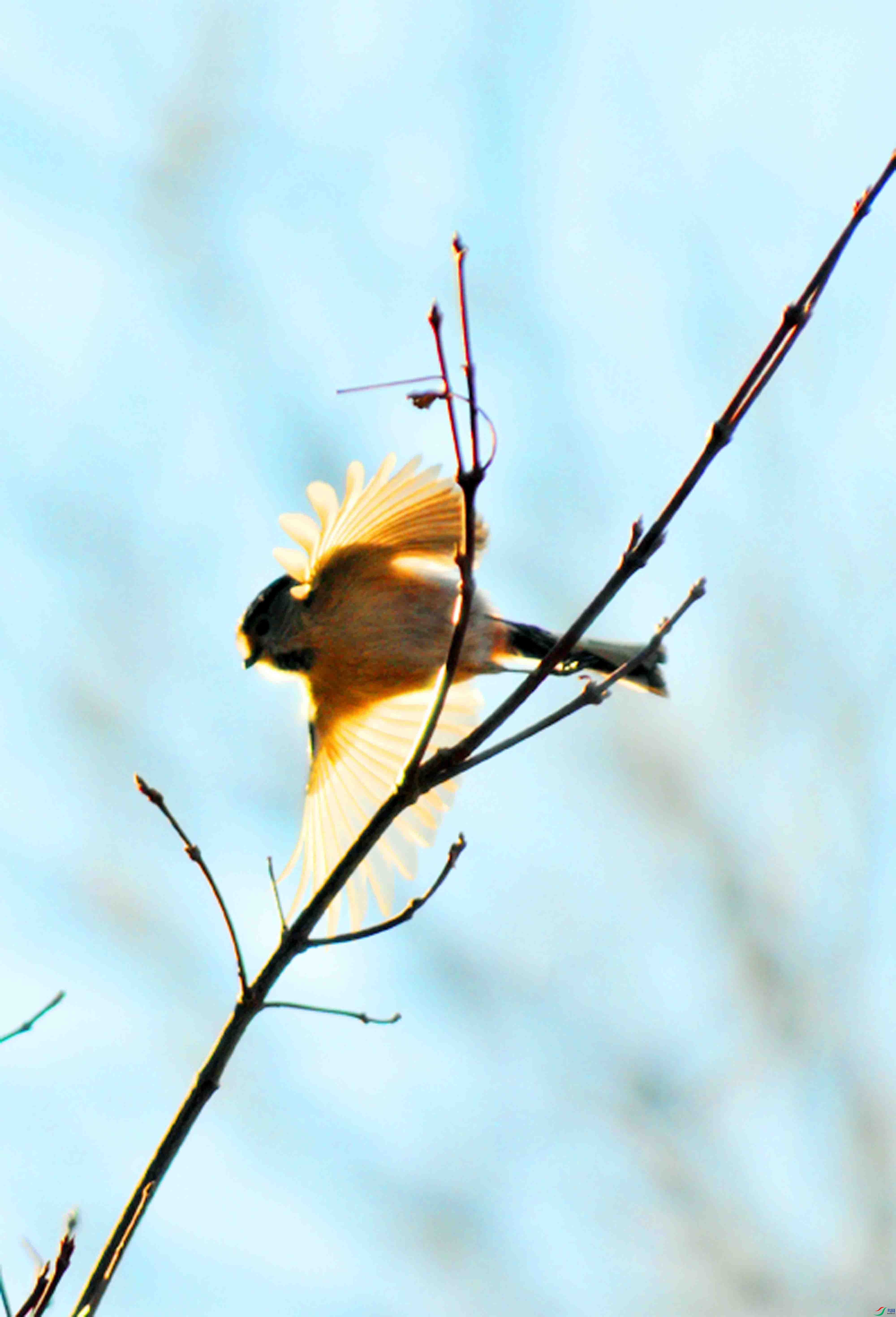 DSC_9829.JPG