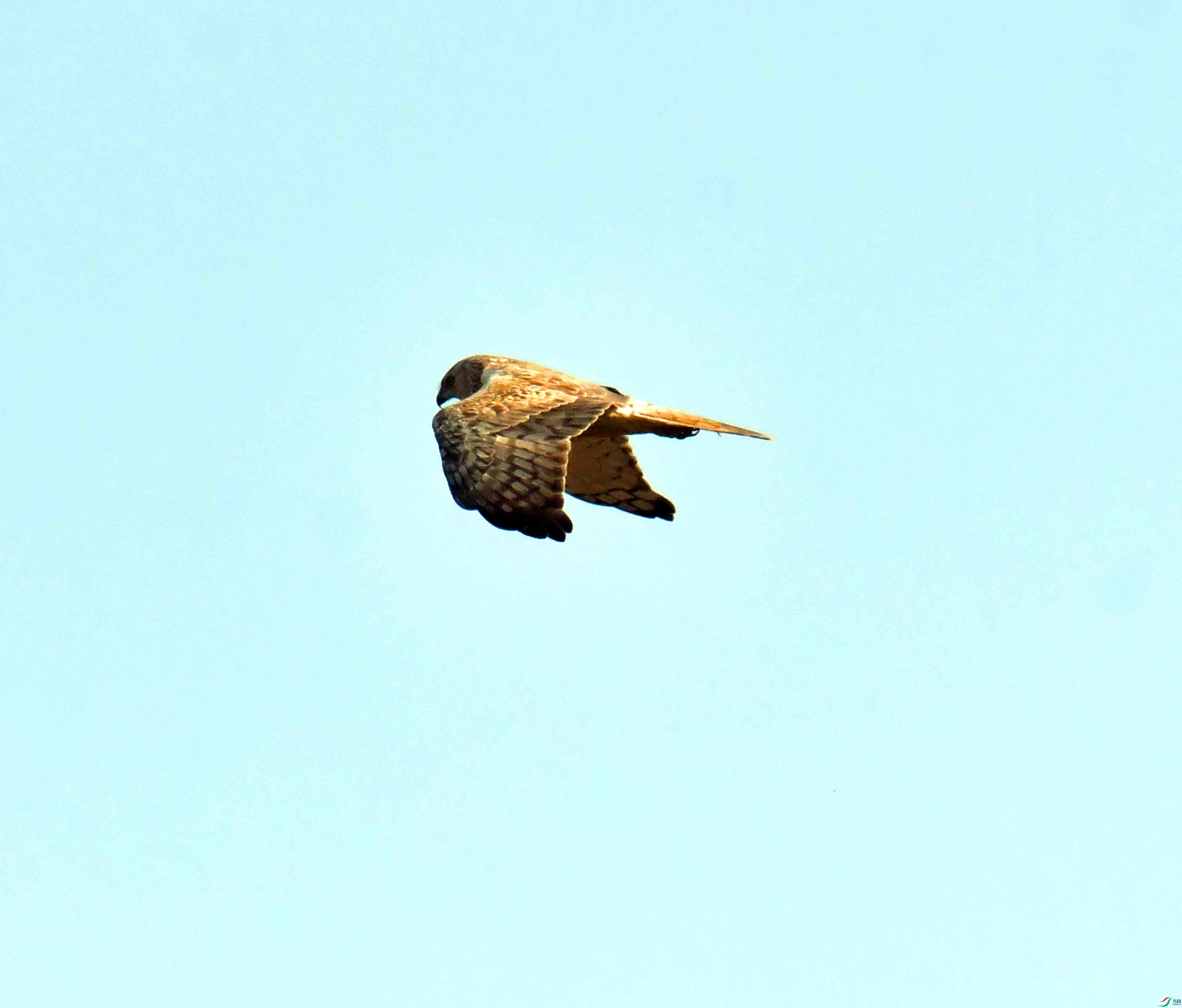 DSC_4172.JPG