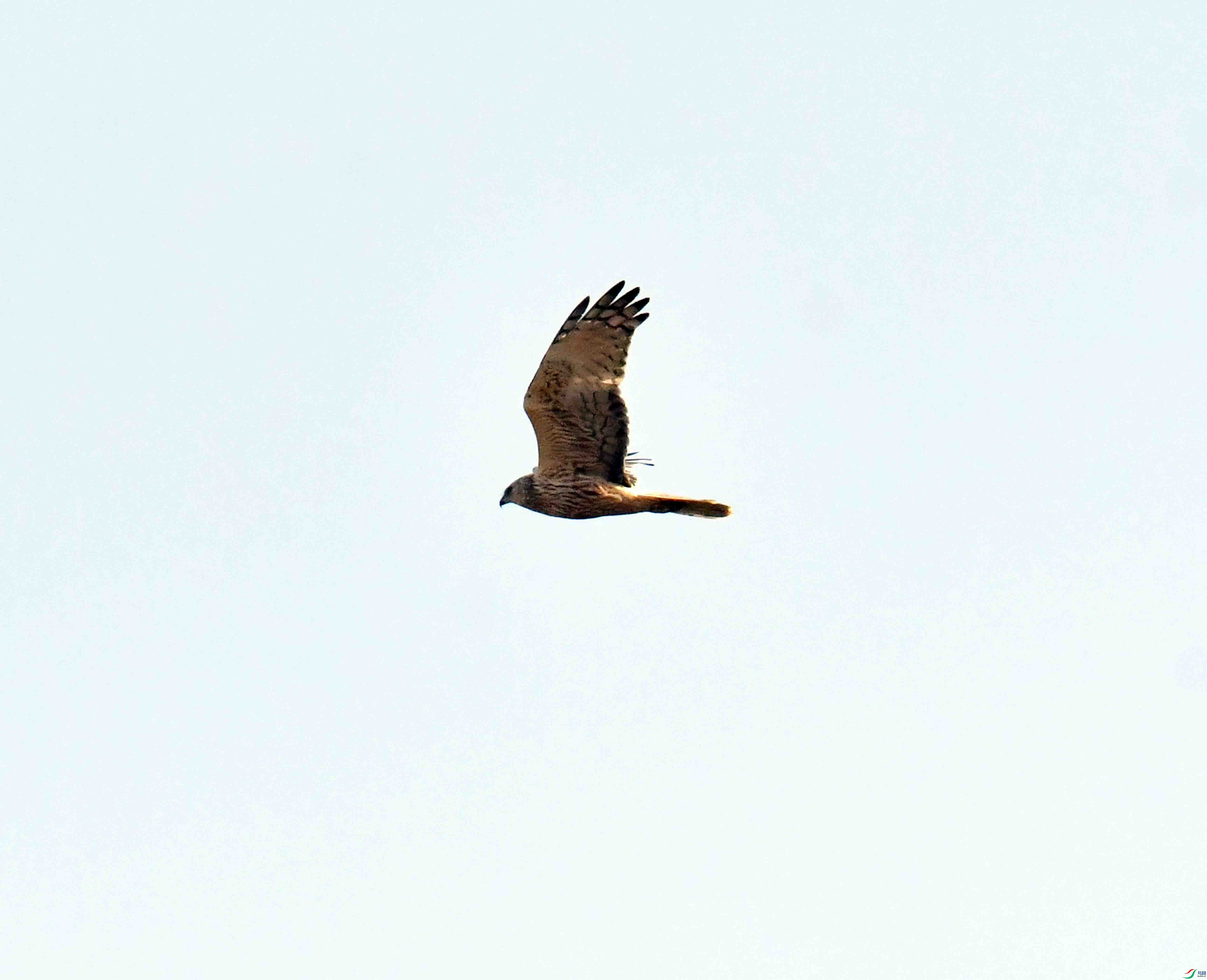 DSC_4194.JPG