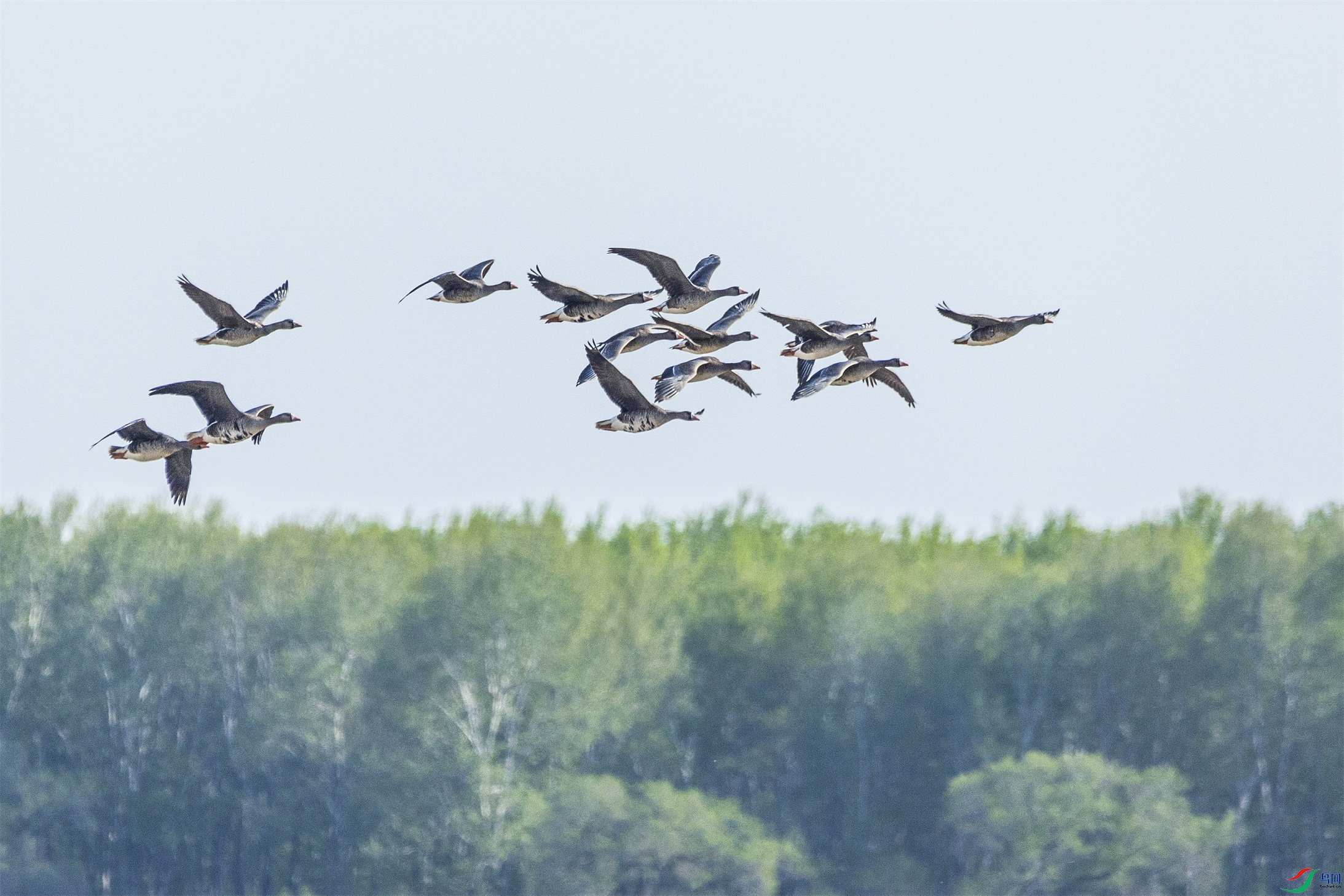 1K3A1493 ����1.jpg