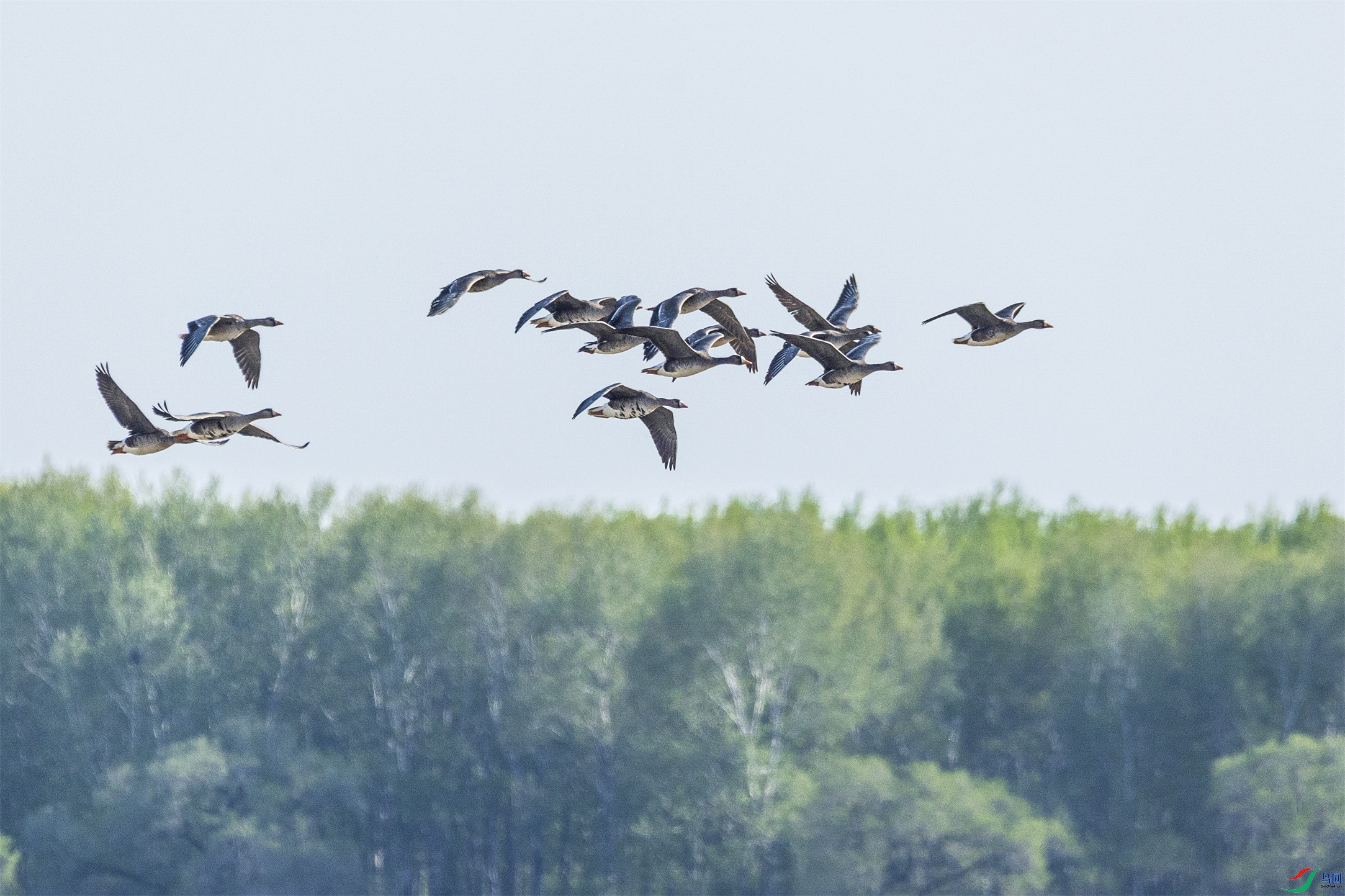 1K3A1491 ����1.jpg