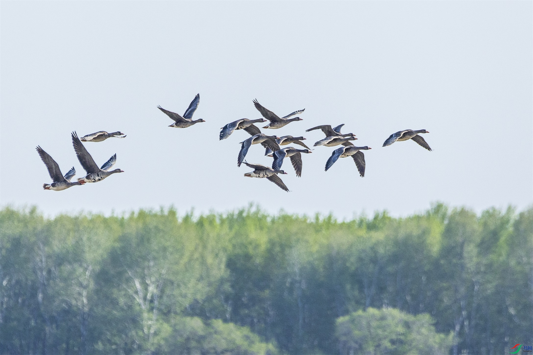 1K3A1494 ����1.jpg