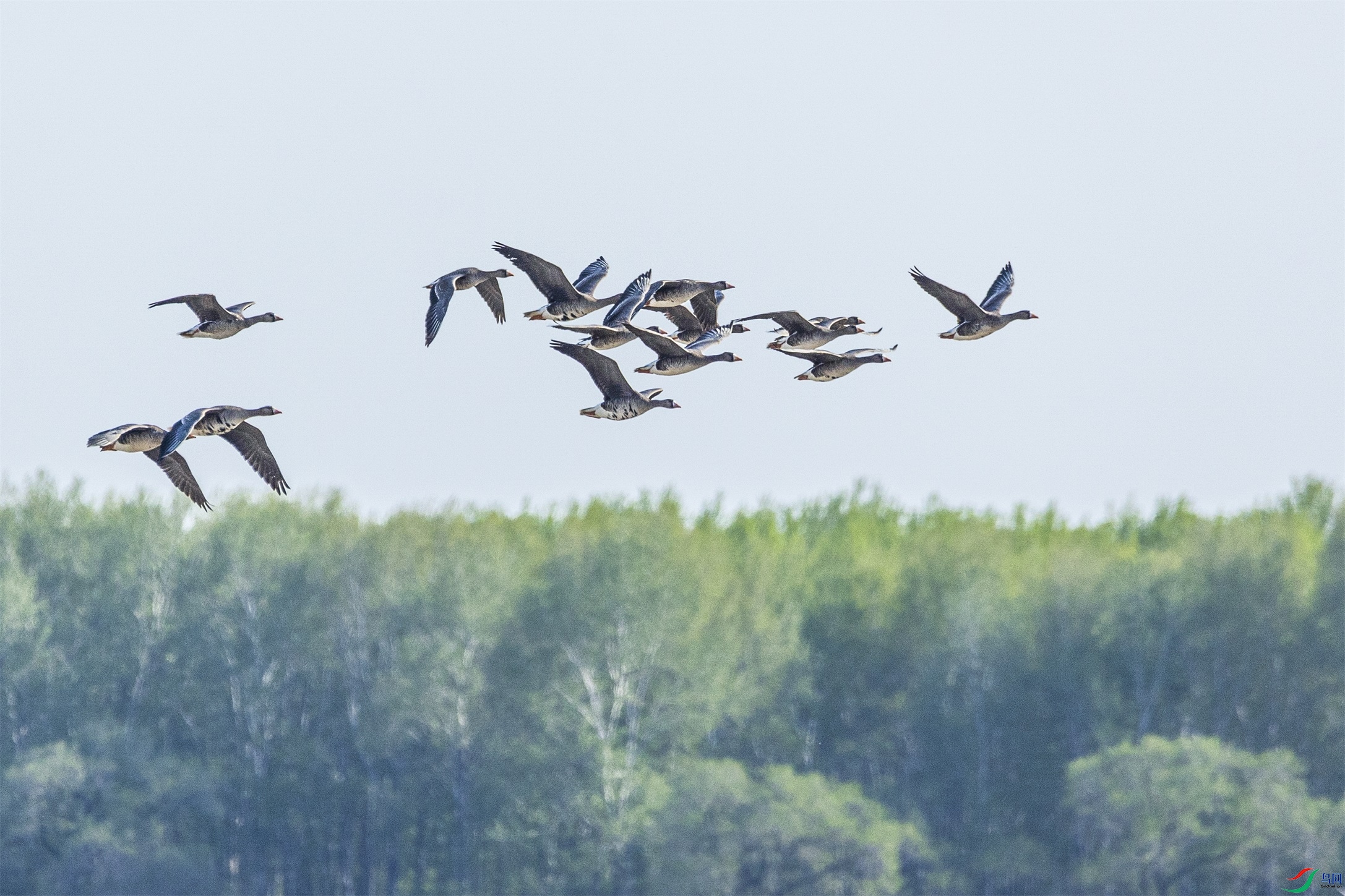 1K3A1492 ����1.jpg