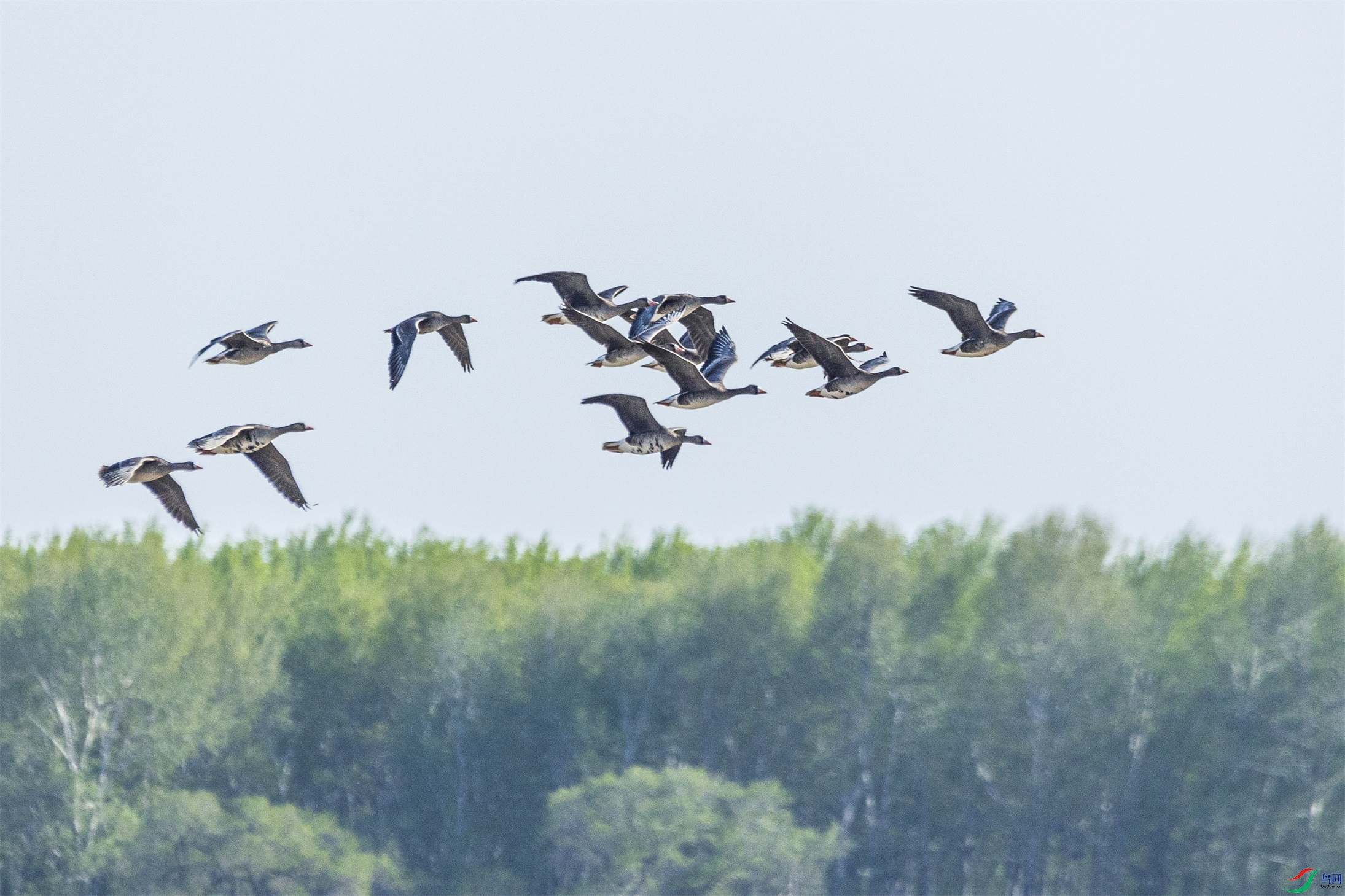 1K3A1496 ����1.jpg