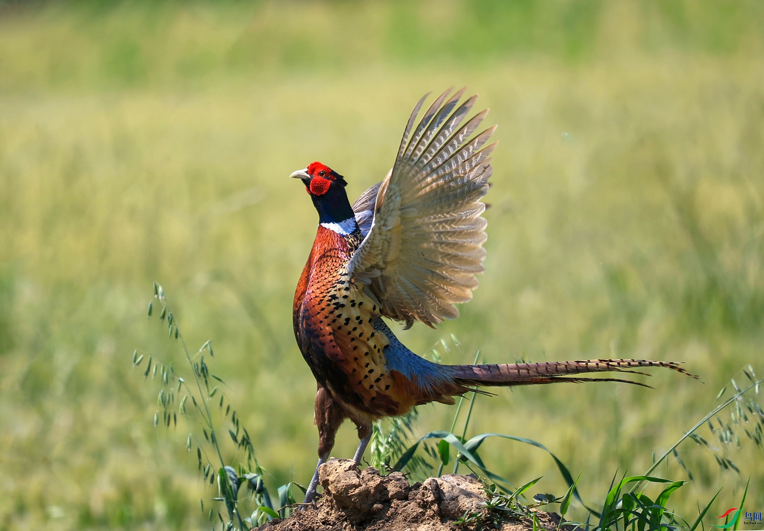 �� ����.jpg