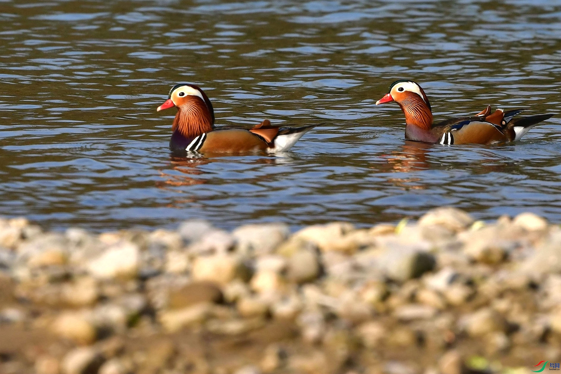 DSC_5422_����.jpg
