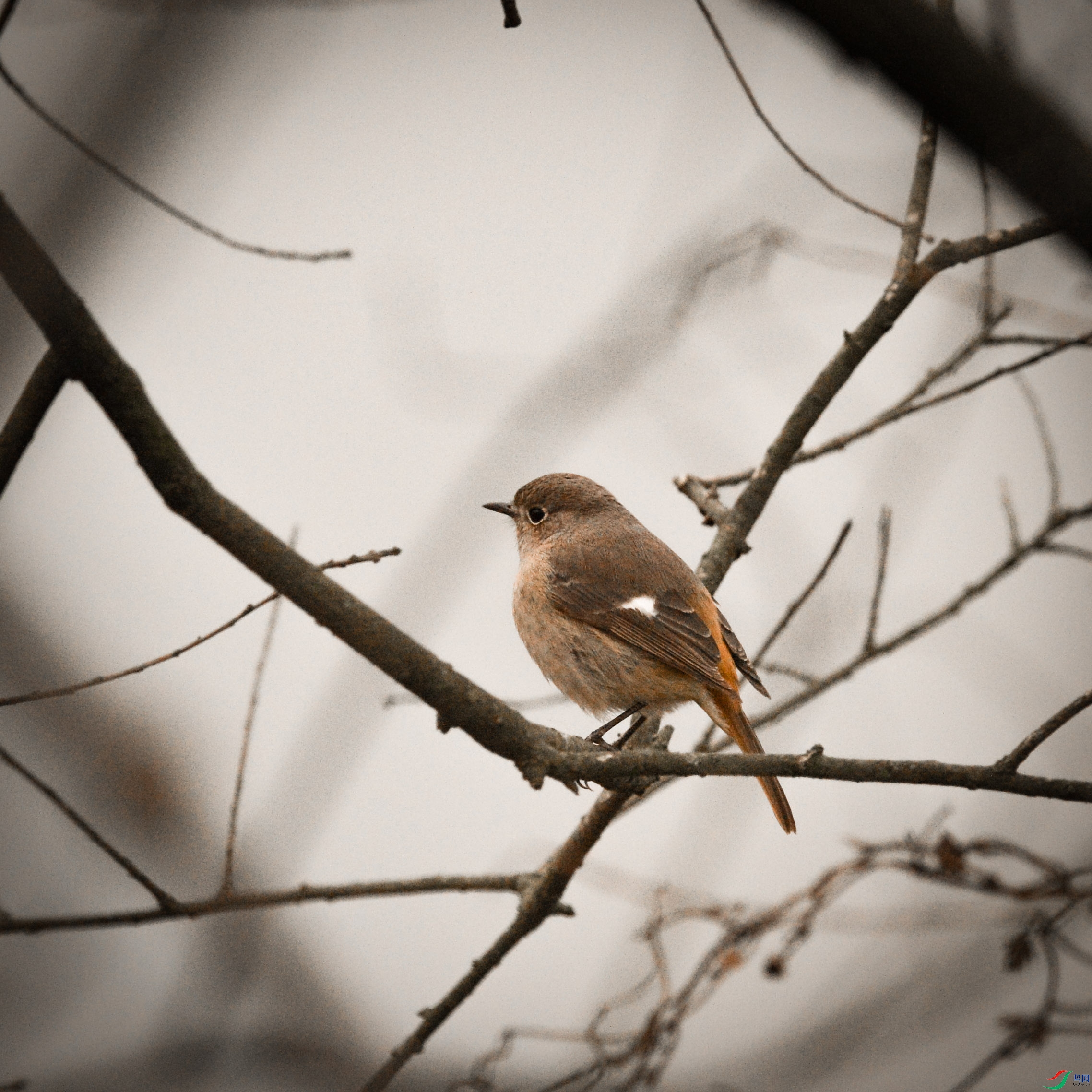 DSC_6188.jpg