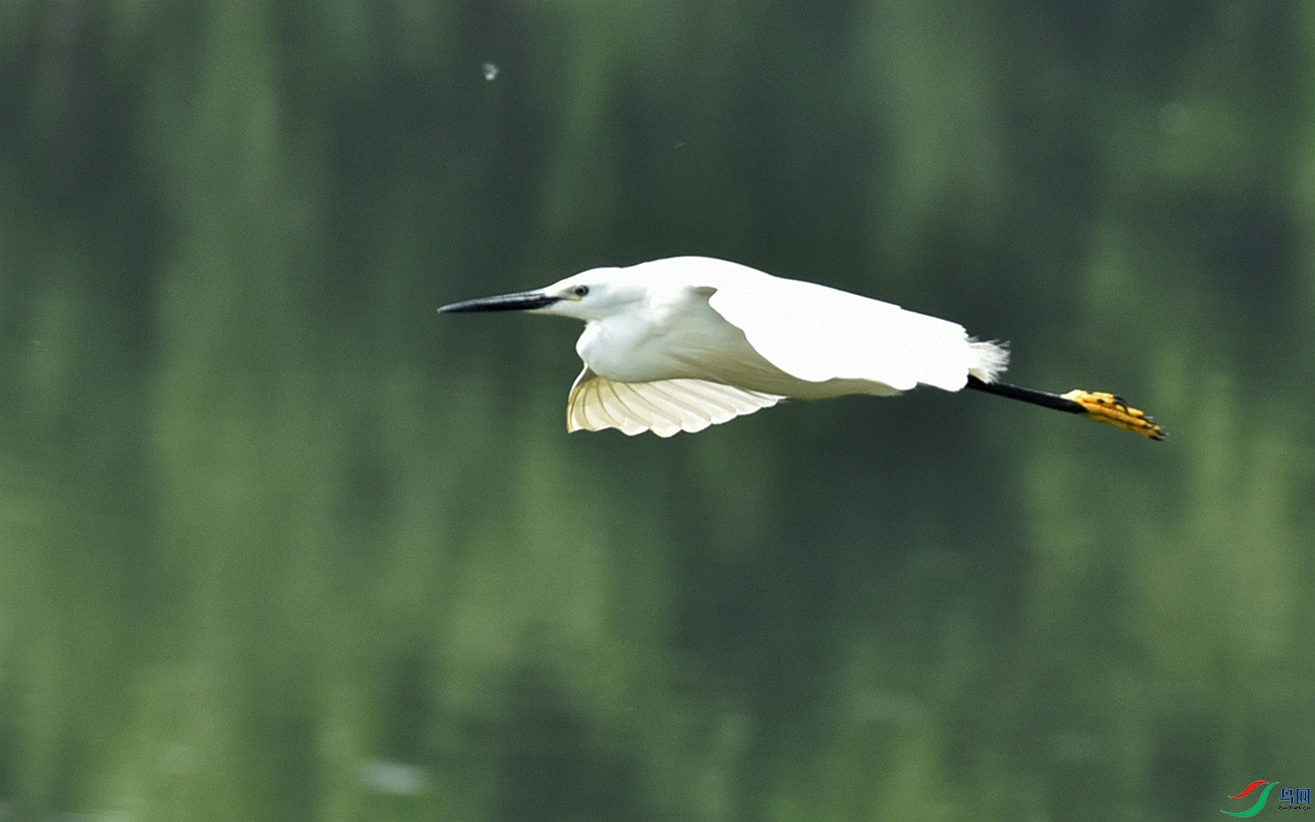 782 (63)_����.jpg