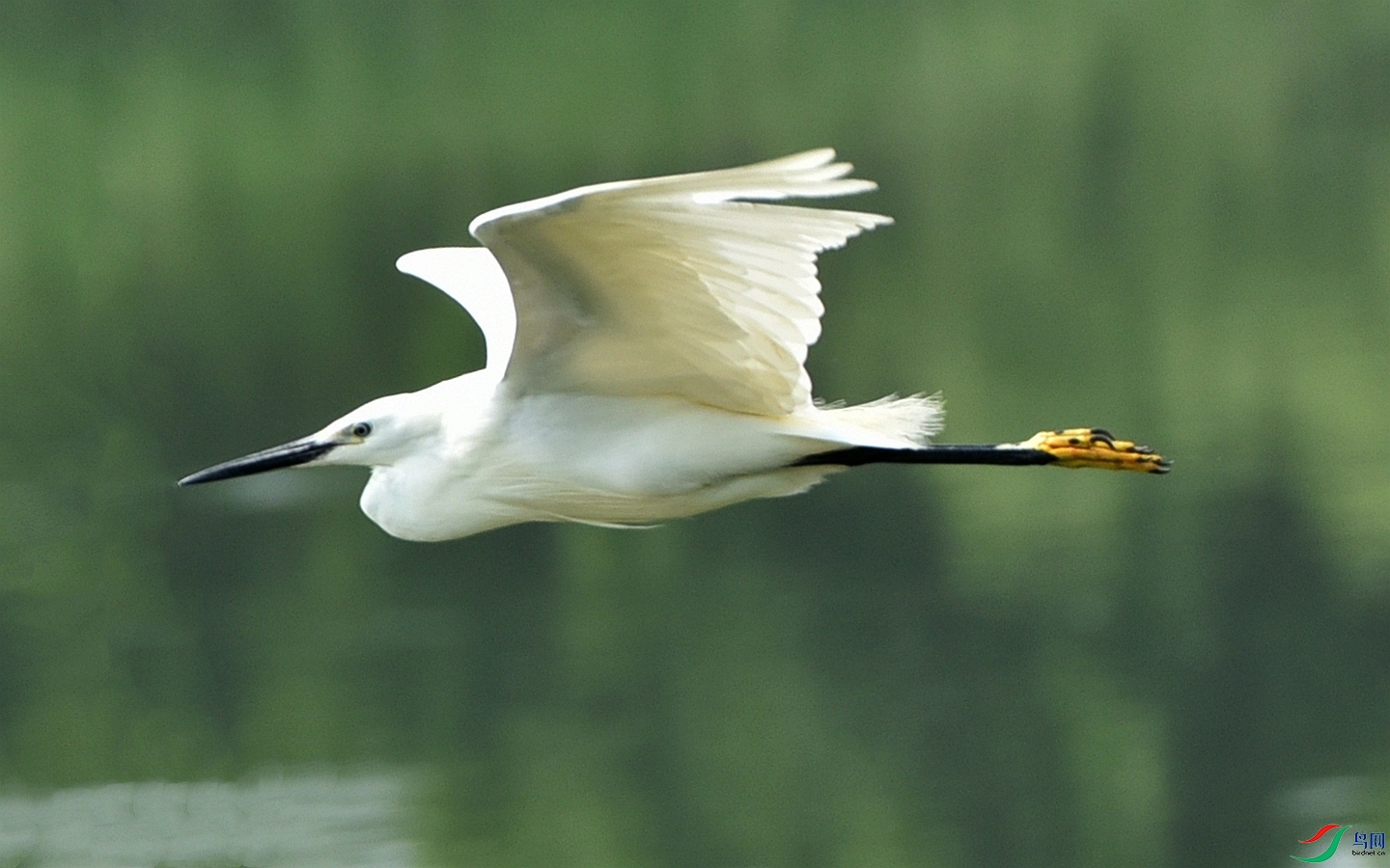 782 (66)_����.jpg