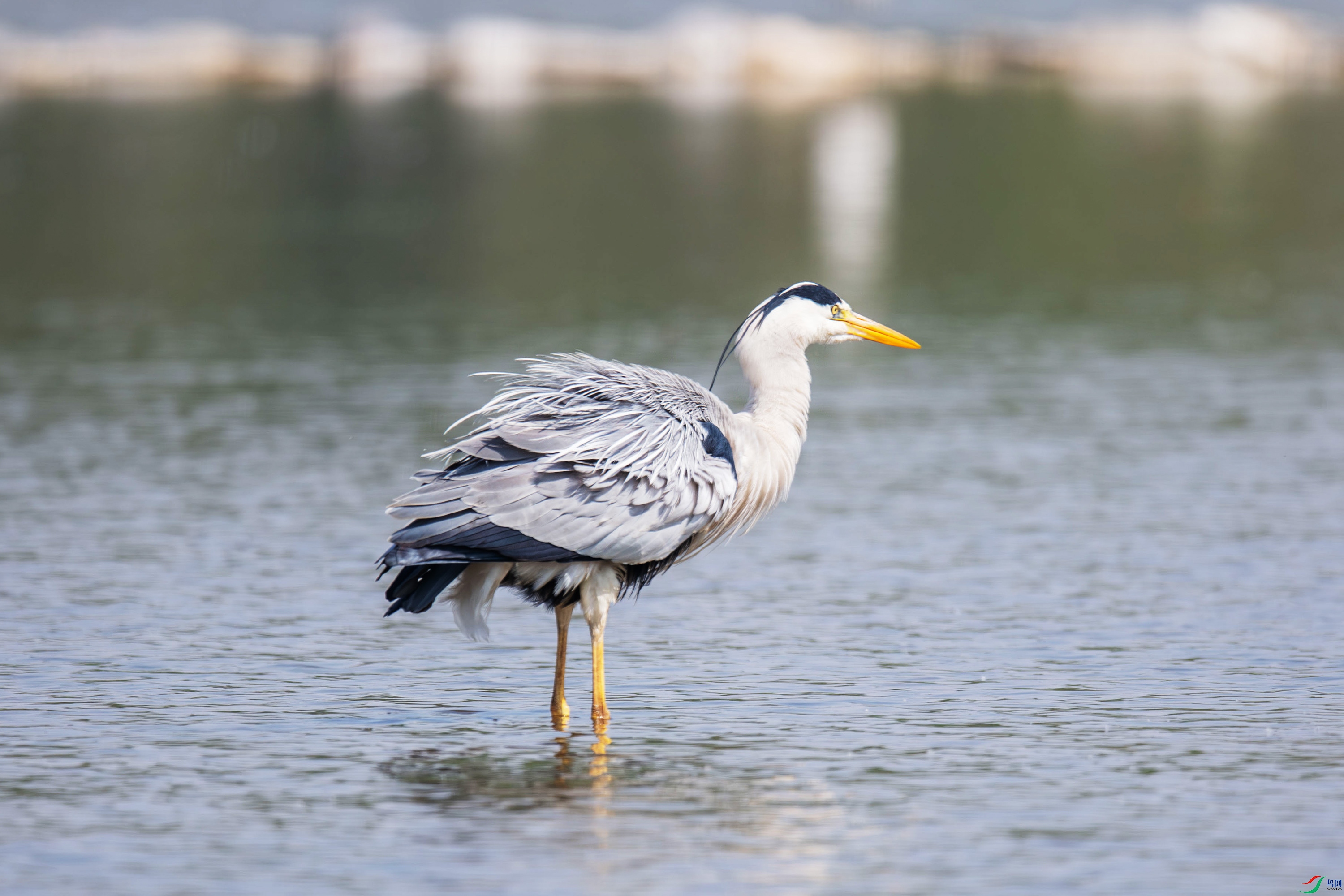 DSC_9878.jpg