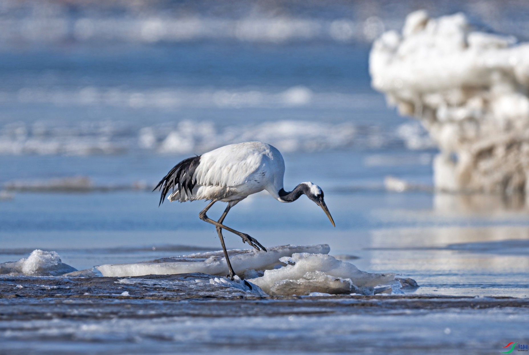_DSC7084d2.jpg