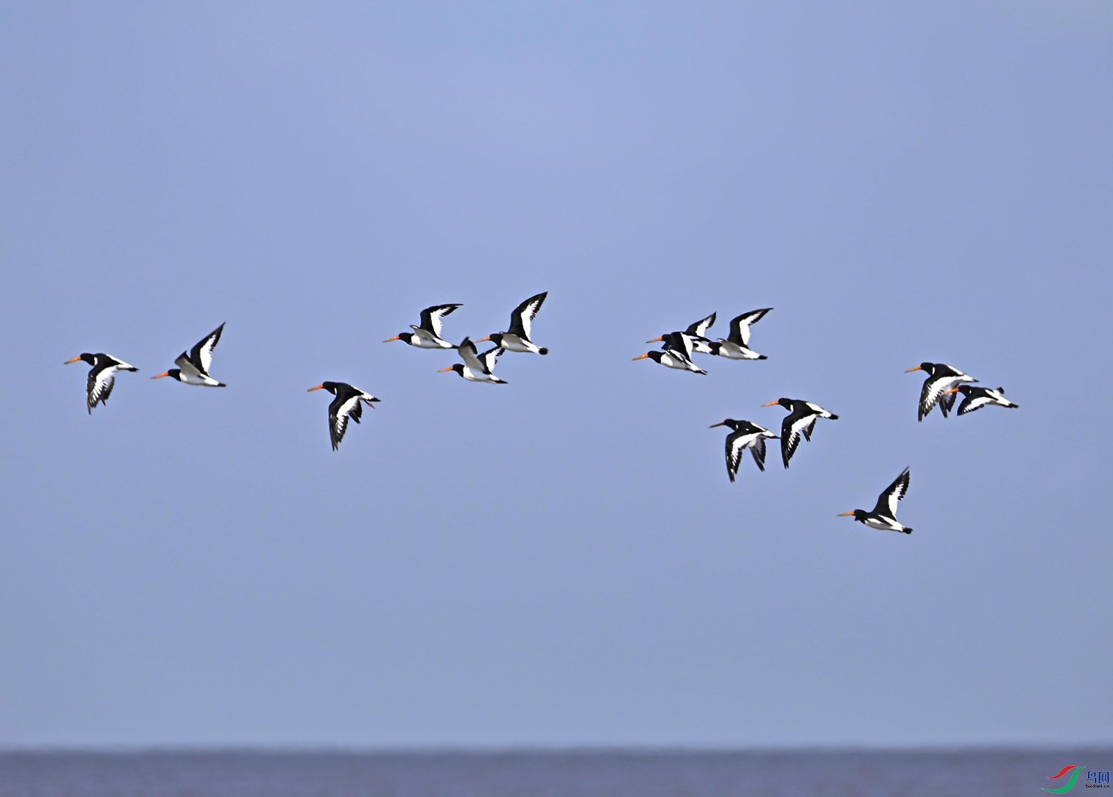 _DSC6638f.jpg