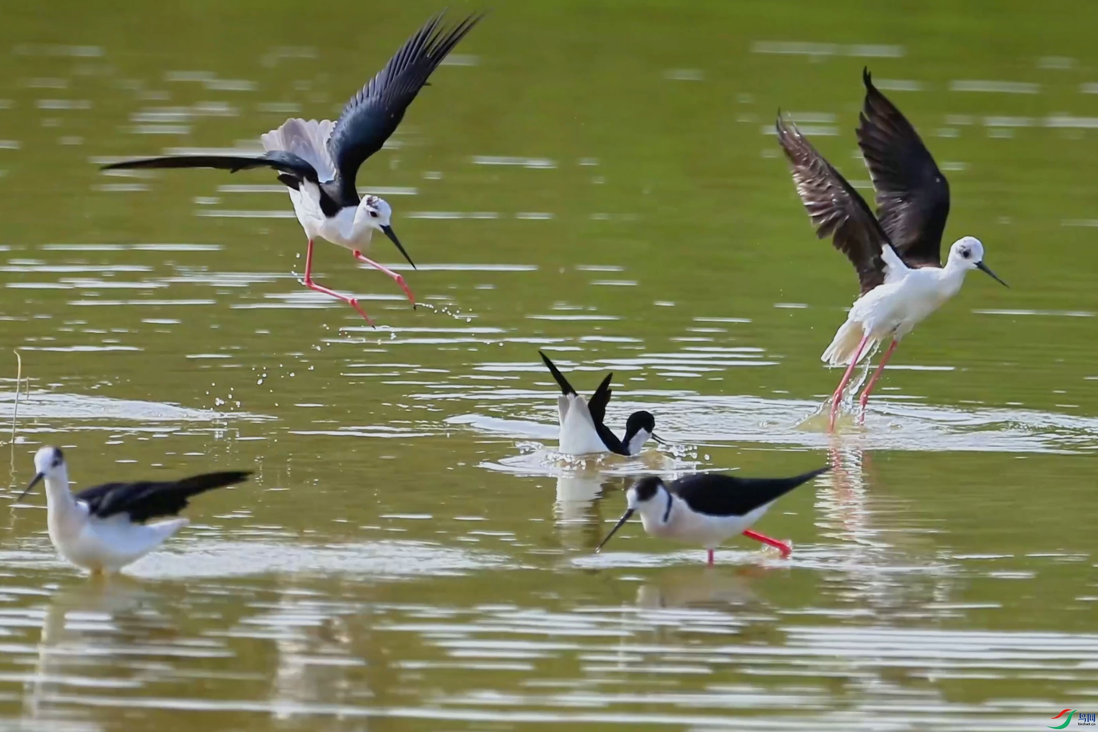 5��11�� (1)(1) ����.jpg