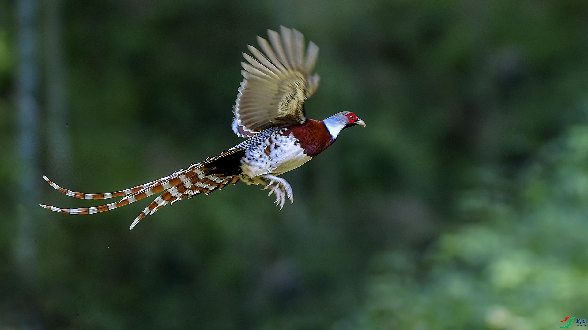 DSC_398m6.jpg