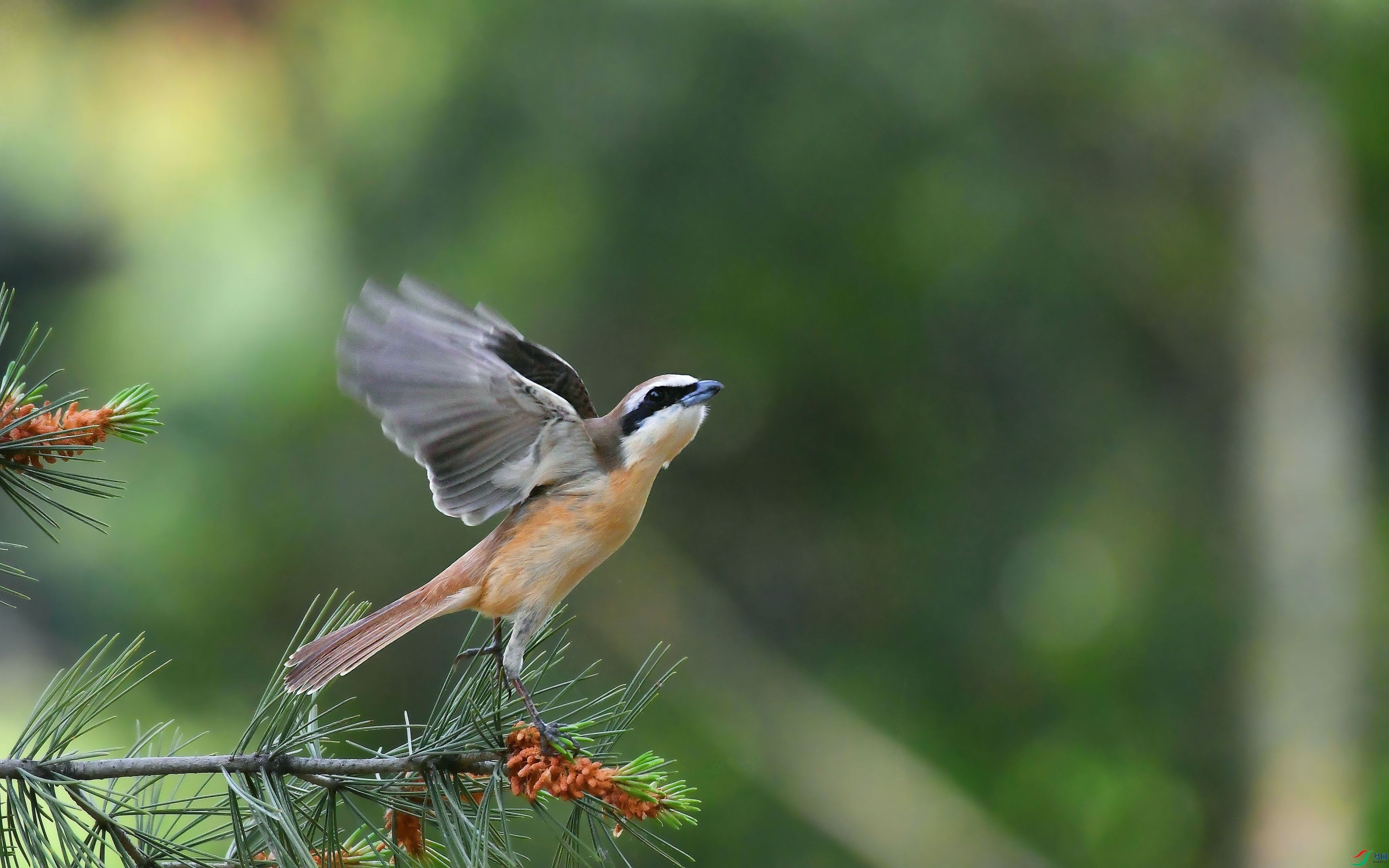 DSC_6526.JPG