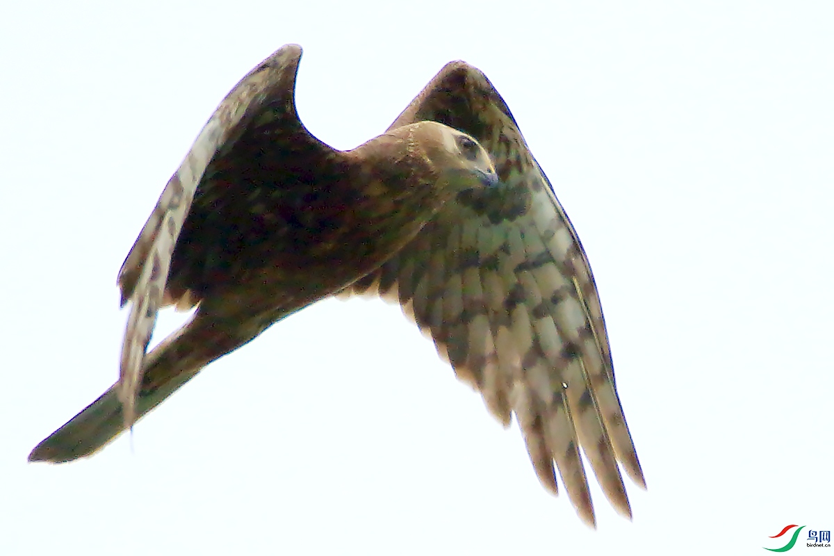 2F4A5857.JPG