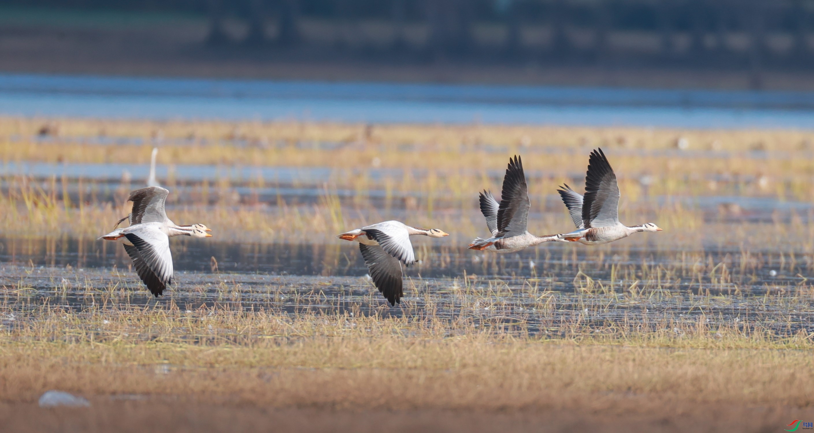 �Ϳշ��� (2).JPG