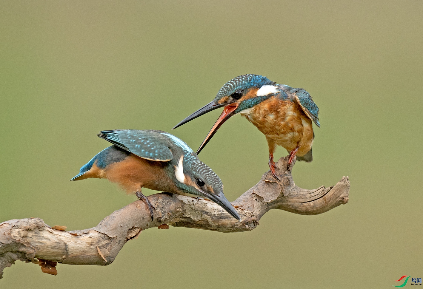 DSC_2814.jpg
