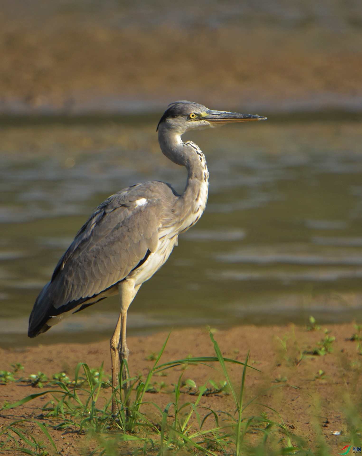 D72_5066.jpg