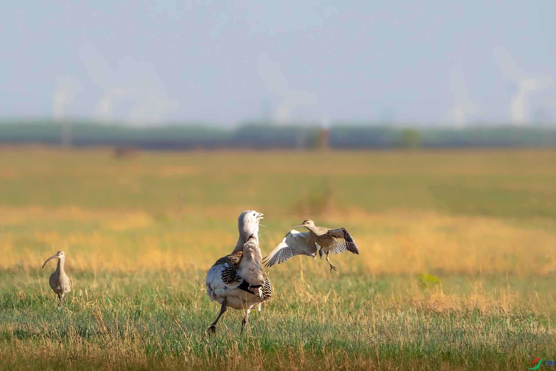 _DSC8316-����ǿ-NR ����.jpg